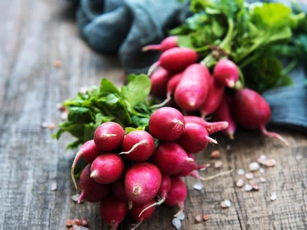 Fresh radishes with green tops on a rustic wooden surface.