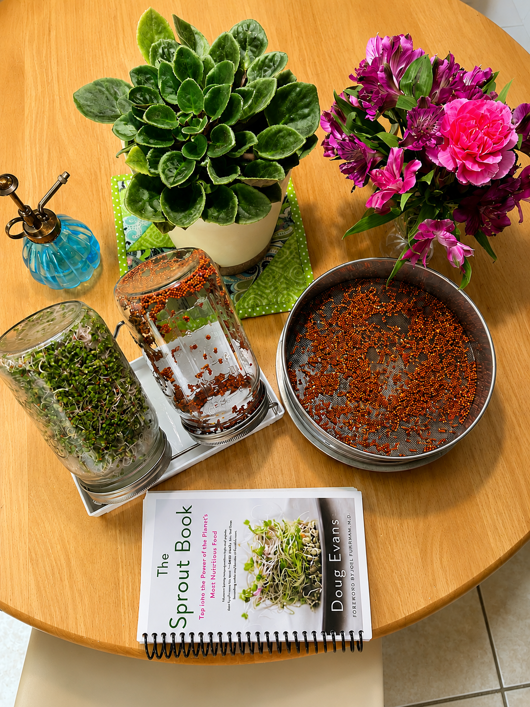 Growing Broccoli Sprouts