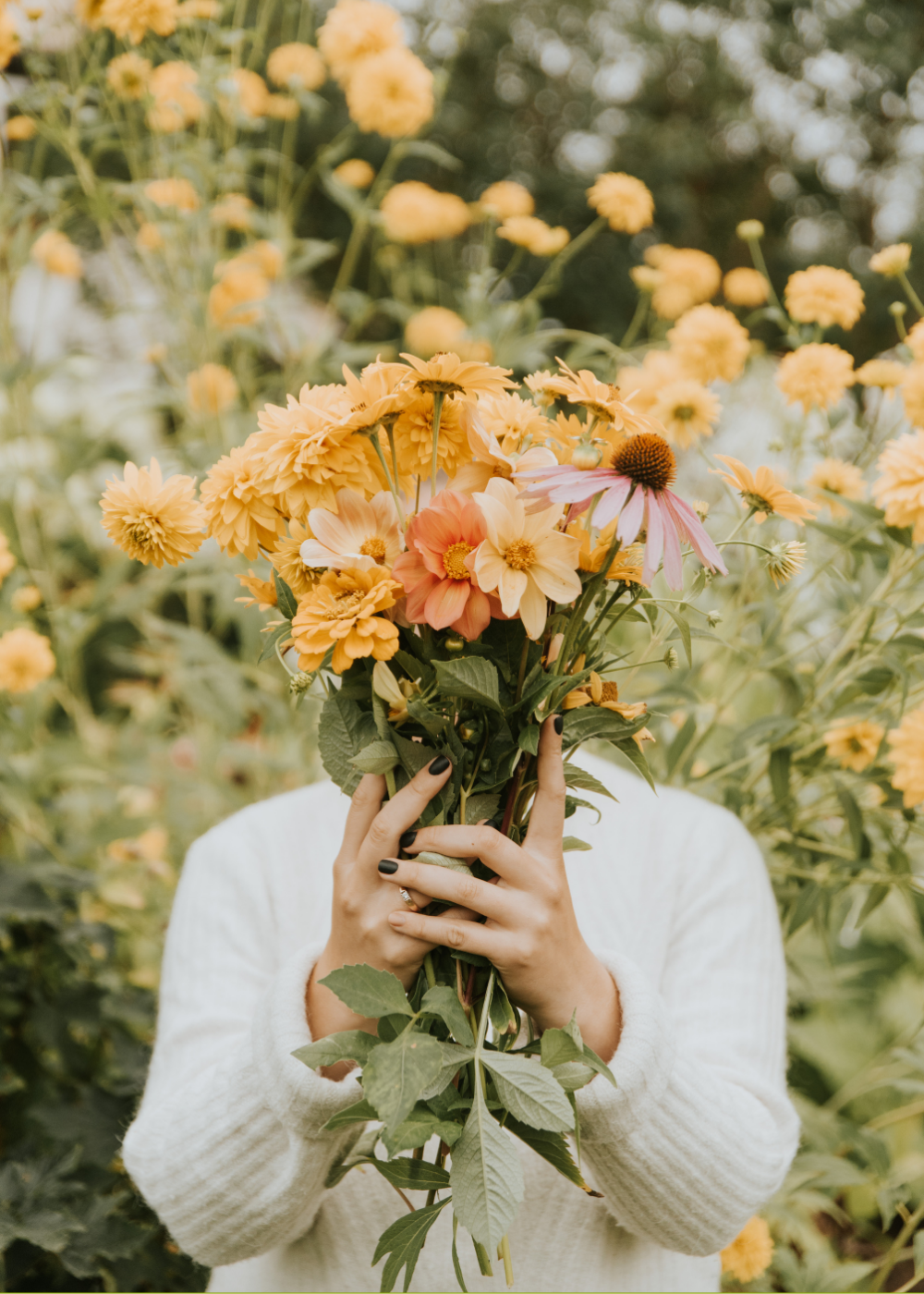 Person holding a large bouquet of yellow and orange flowers in front of their face, in a field of similar flowers.