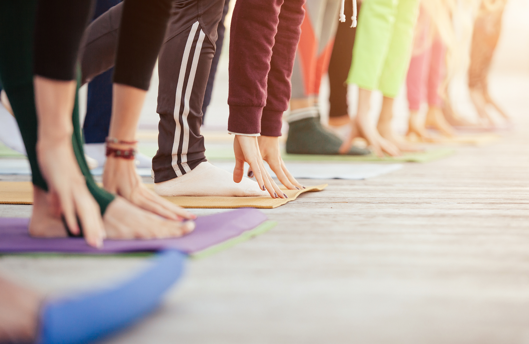 People participating in a yoga class, lined up in a row on colorful yoga mats, bending forward with hands on the floor, in a well-lit indoor space.