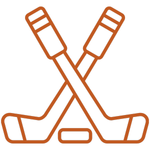 Stick and puck icon
