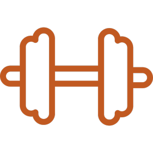 Weight icon