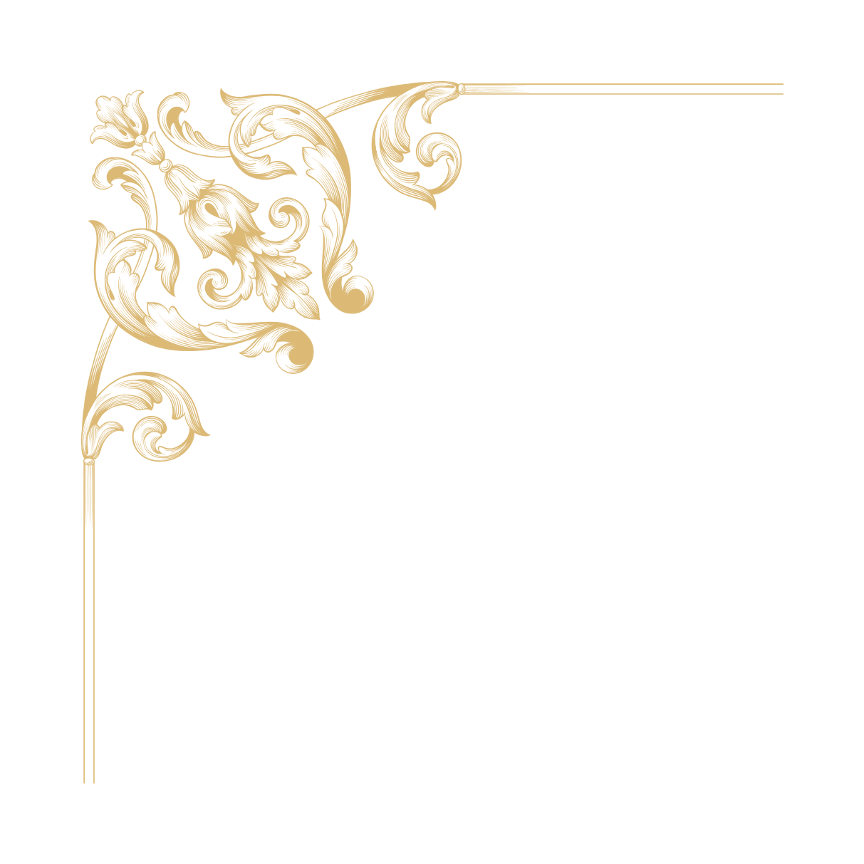 Ornate gold floral corner design on a black background.
