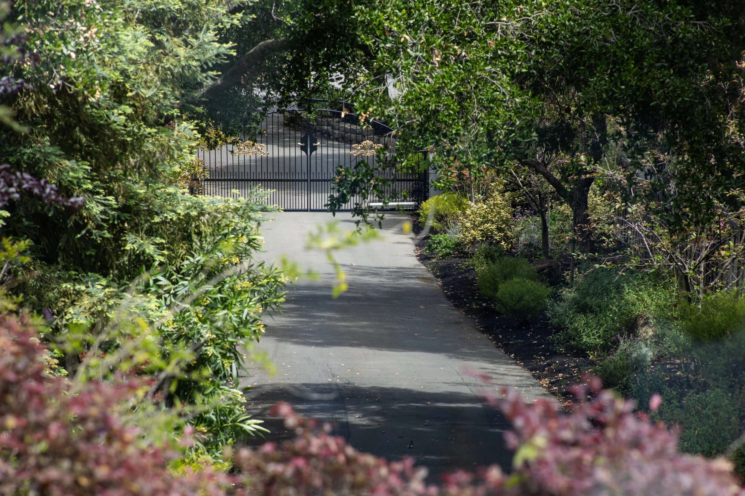 3-QuailMeadow_Matt_Anello-5909-MLS.jpg
