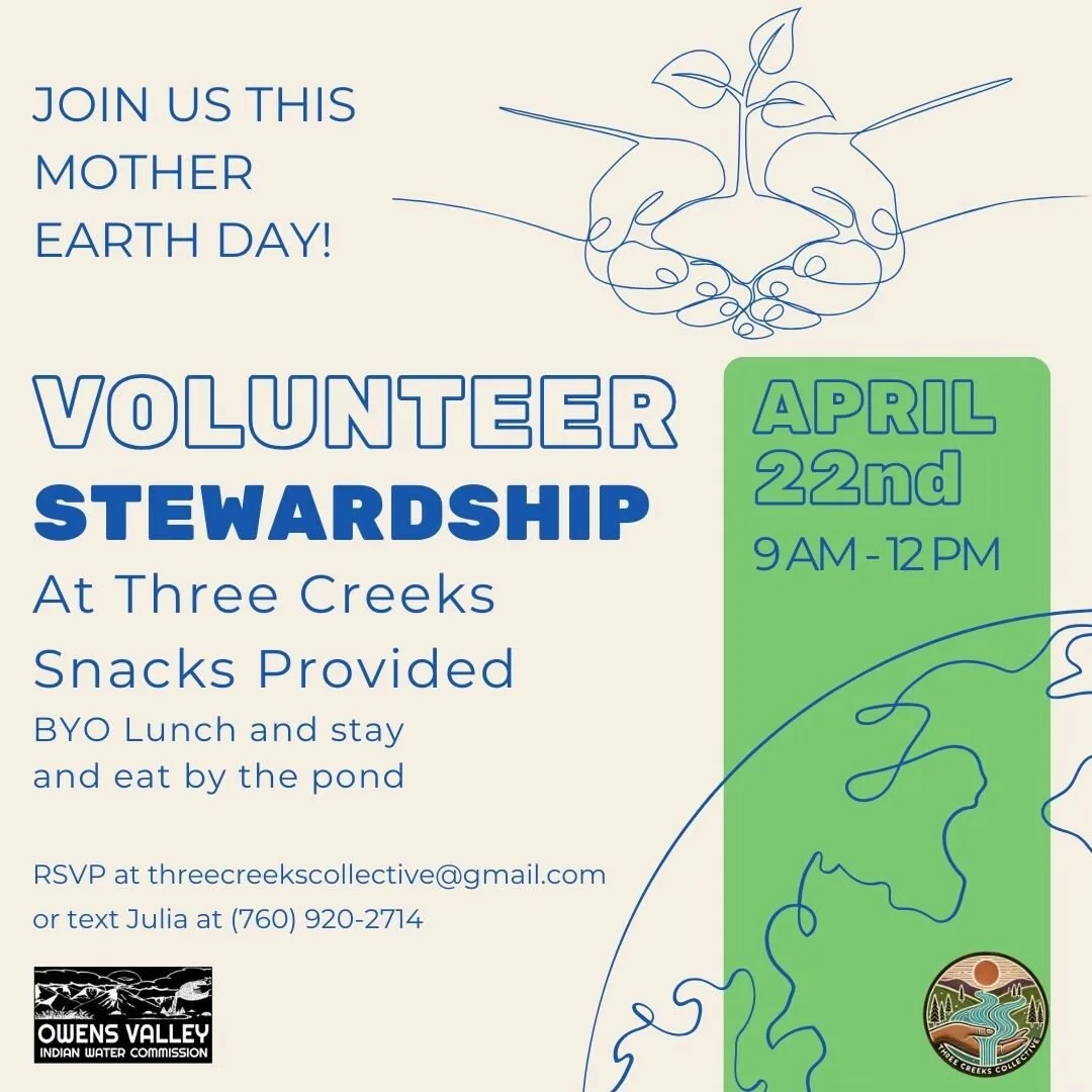 Volunteer Stewardship At Three Creeks
