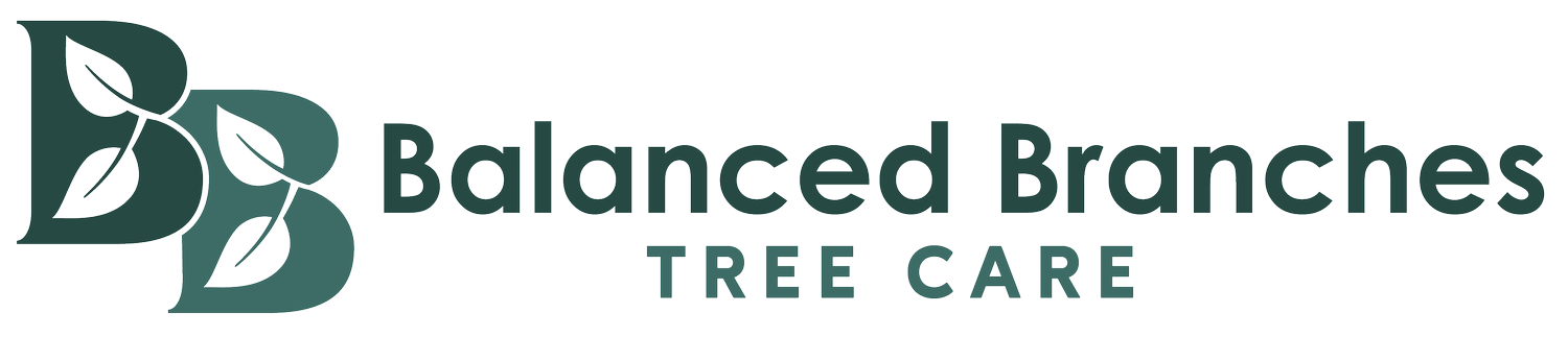 Balanced Branches Tree Care