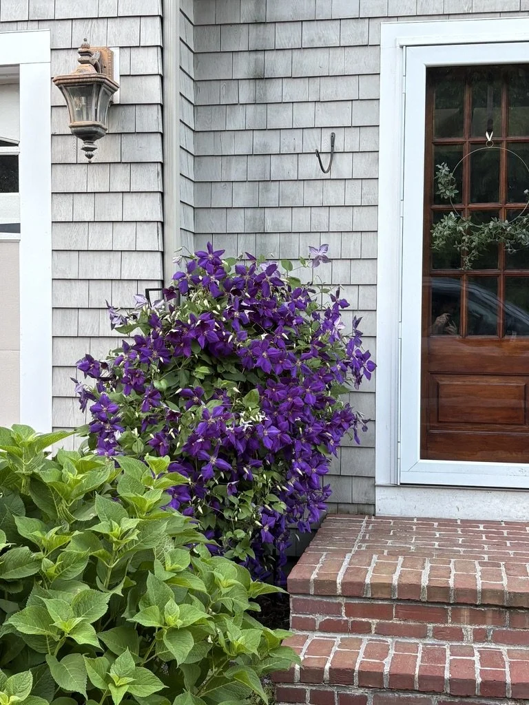 Purple flower bush and green shrub next to a brick porch steps outside a house with gray shingles and a wooden door.