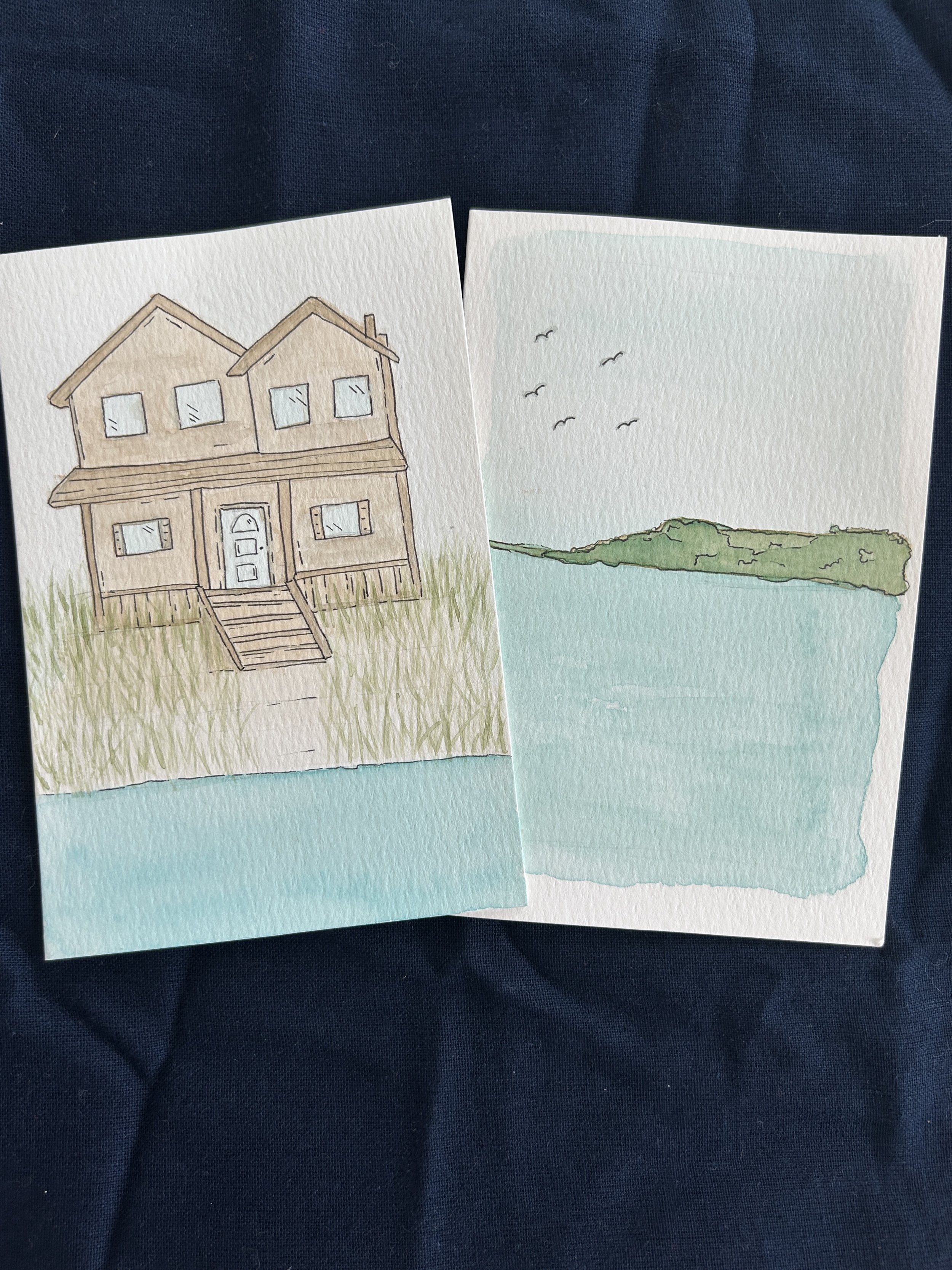 Pair_Beach House_Flight.JPG