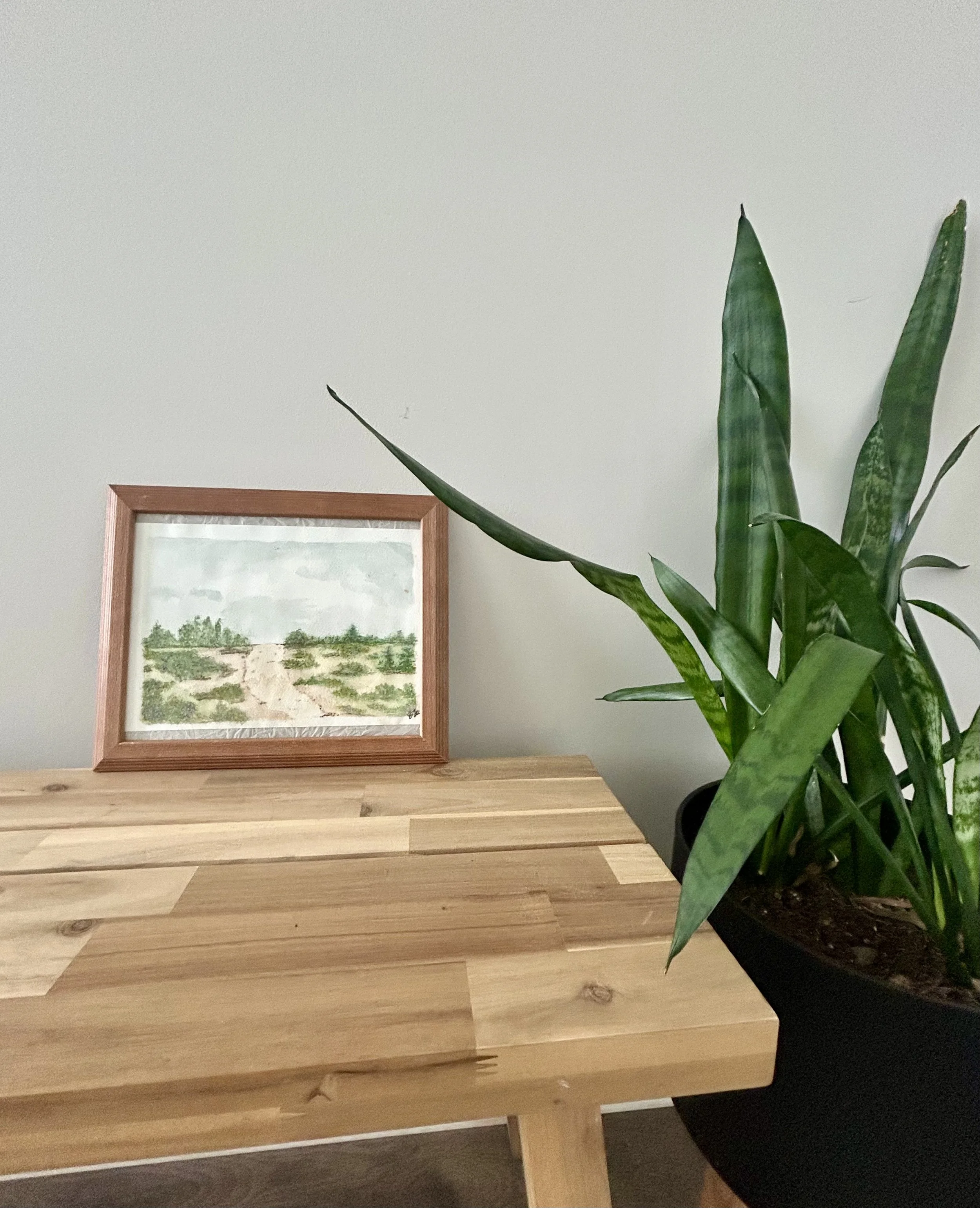 A wooden table with a potted green plant and a framed landscape painting on a light-colored wall.