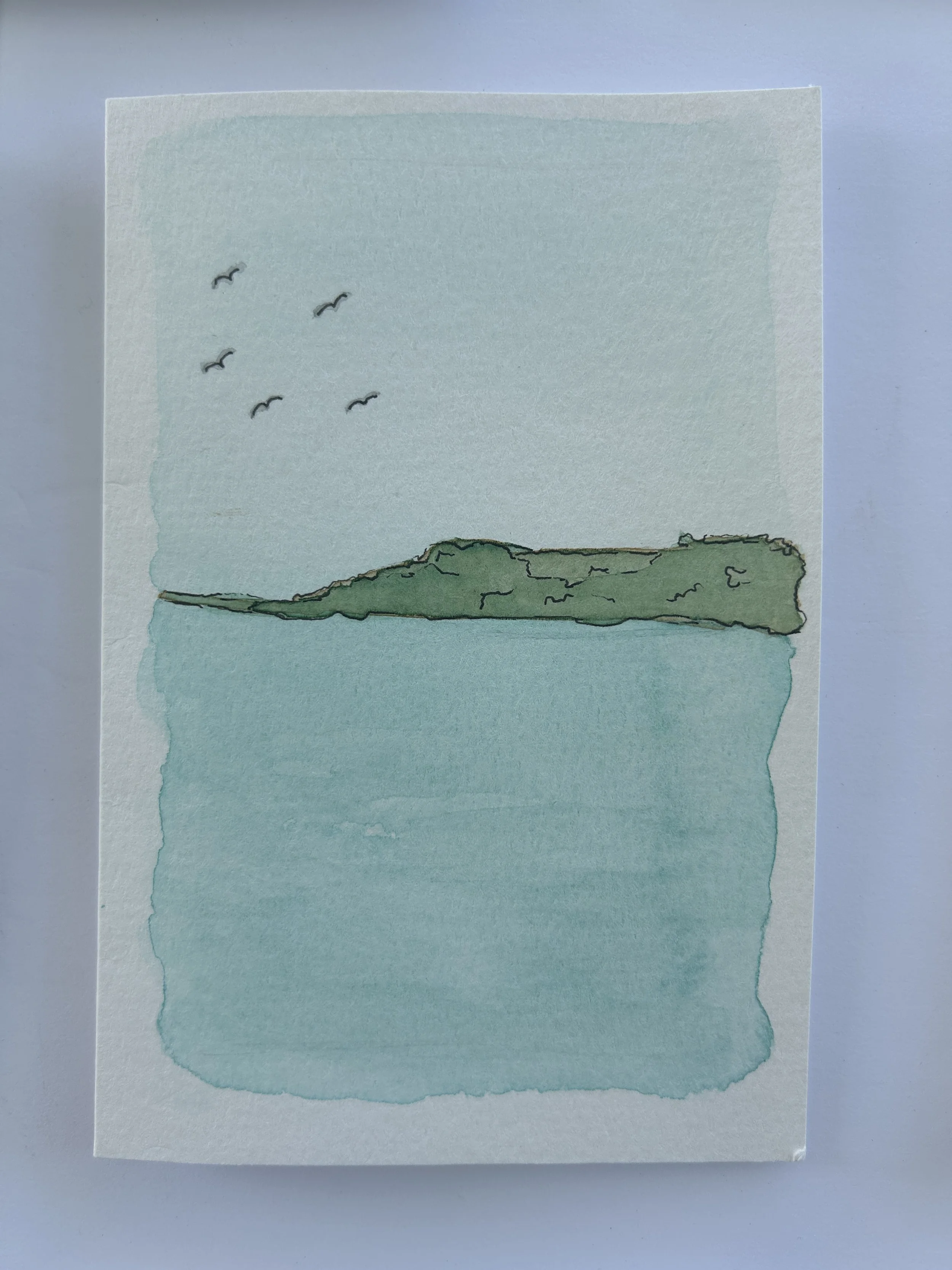 Coastal Flight Watercolor Card, Original Hand Painted