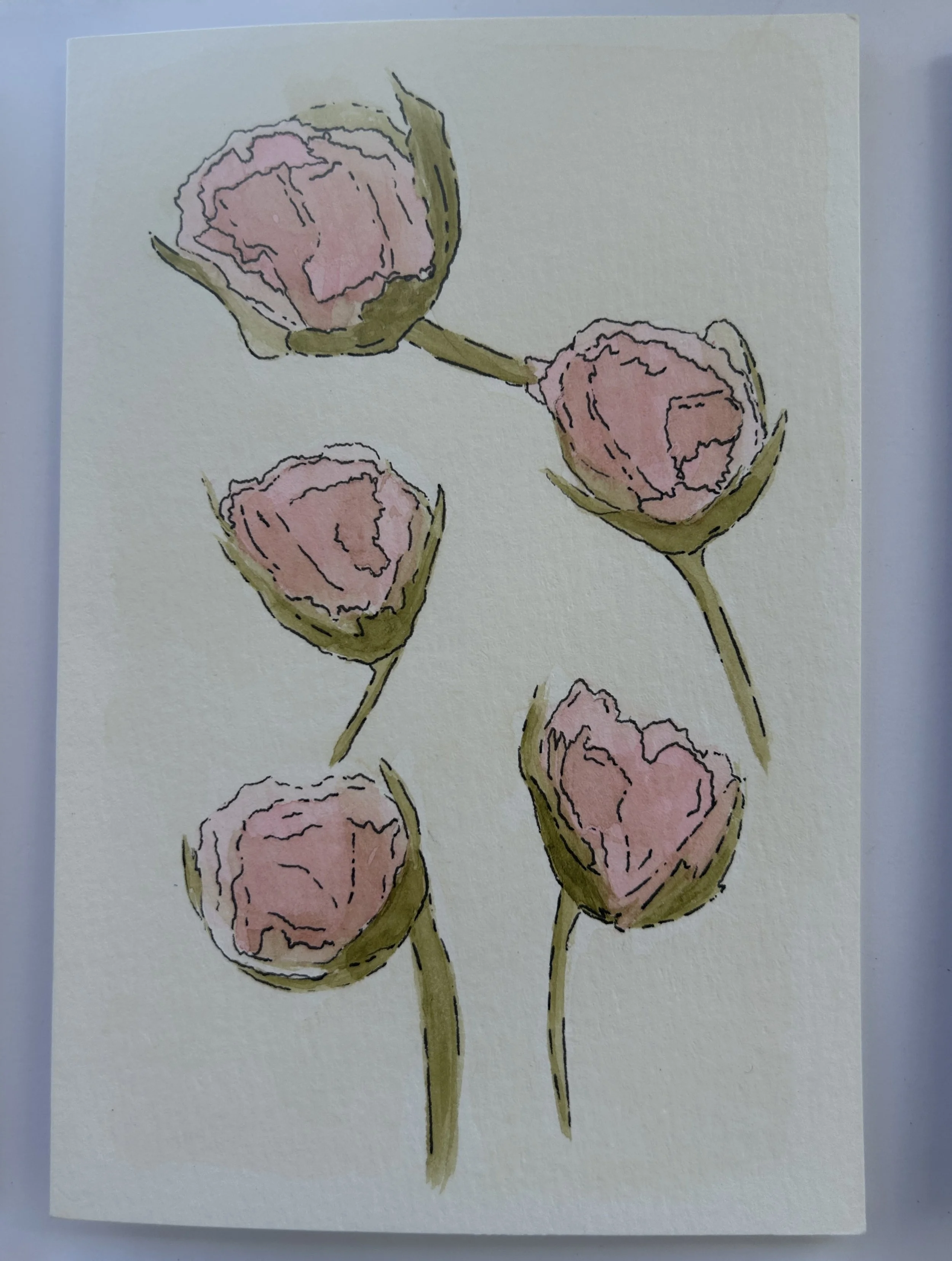Pink Peonies.JPG