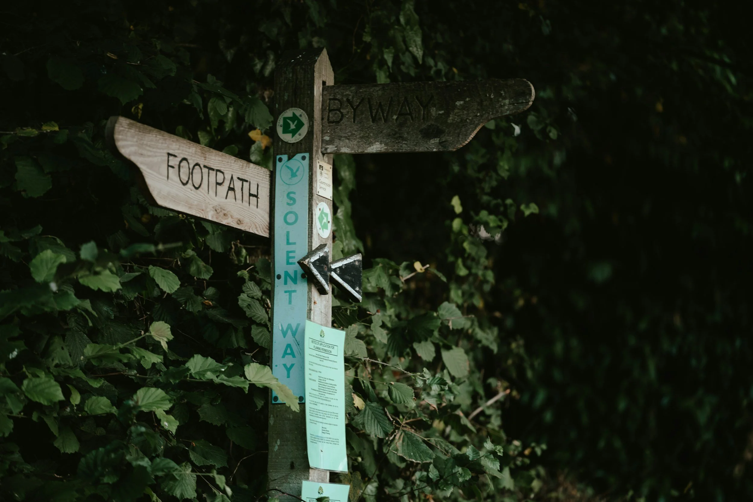 Wooden trail sign with 'FOOTPATH' and 'BYWAY' directions, surrounded by dense green foliage.
