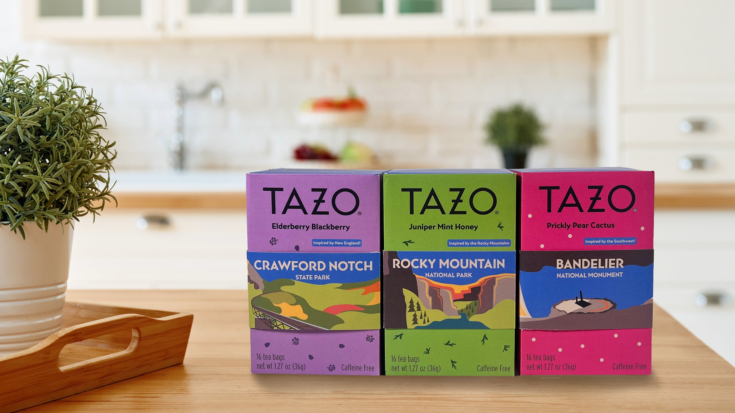 tazo11.jpg