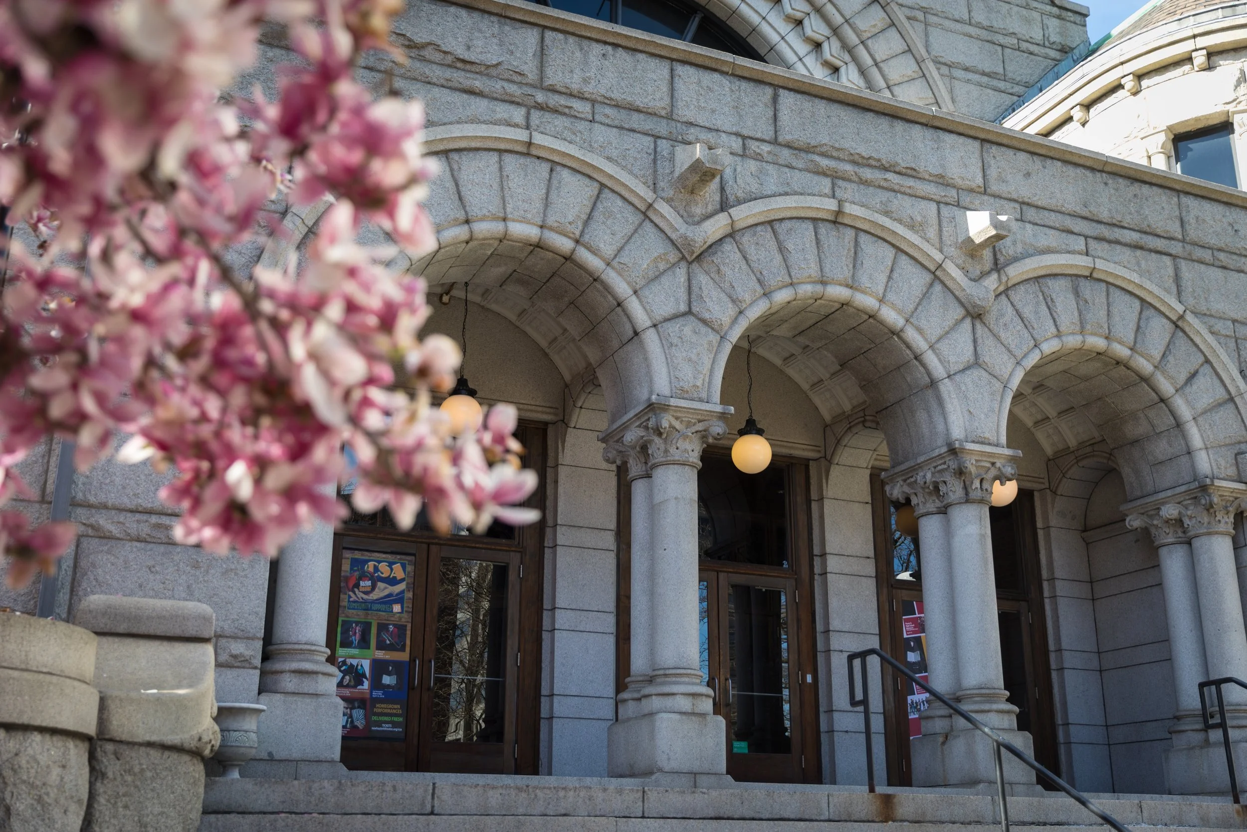 Close-up of pink flowers in the foreground with the New Hazlett Theater building featuring stone arches and columns in the background.