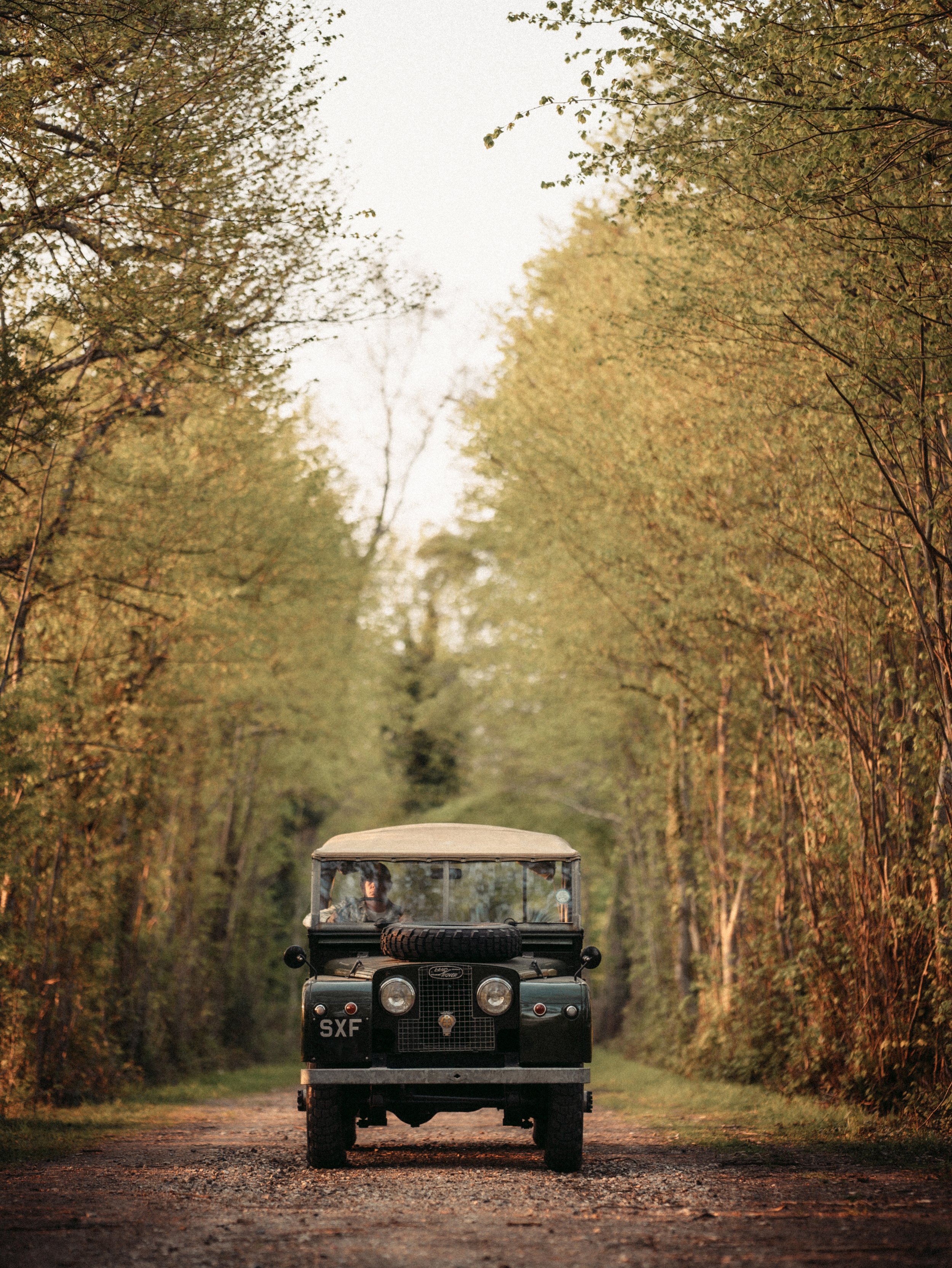 A vintage black Land Rover driving down a dirt path lined with tall trees with green and brown leaves.
