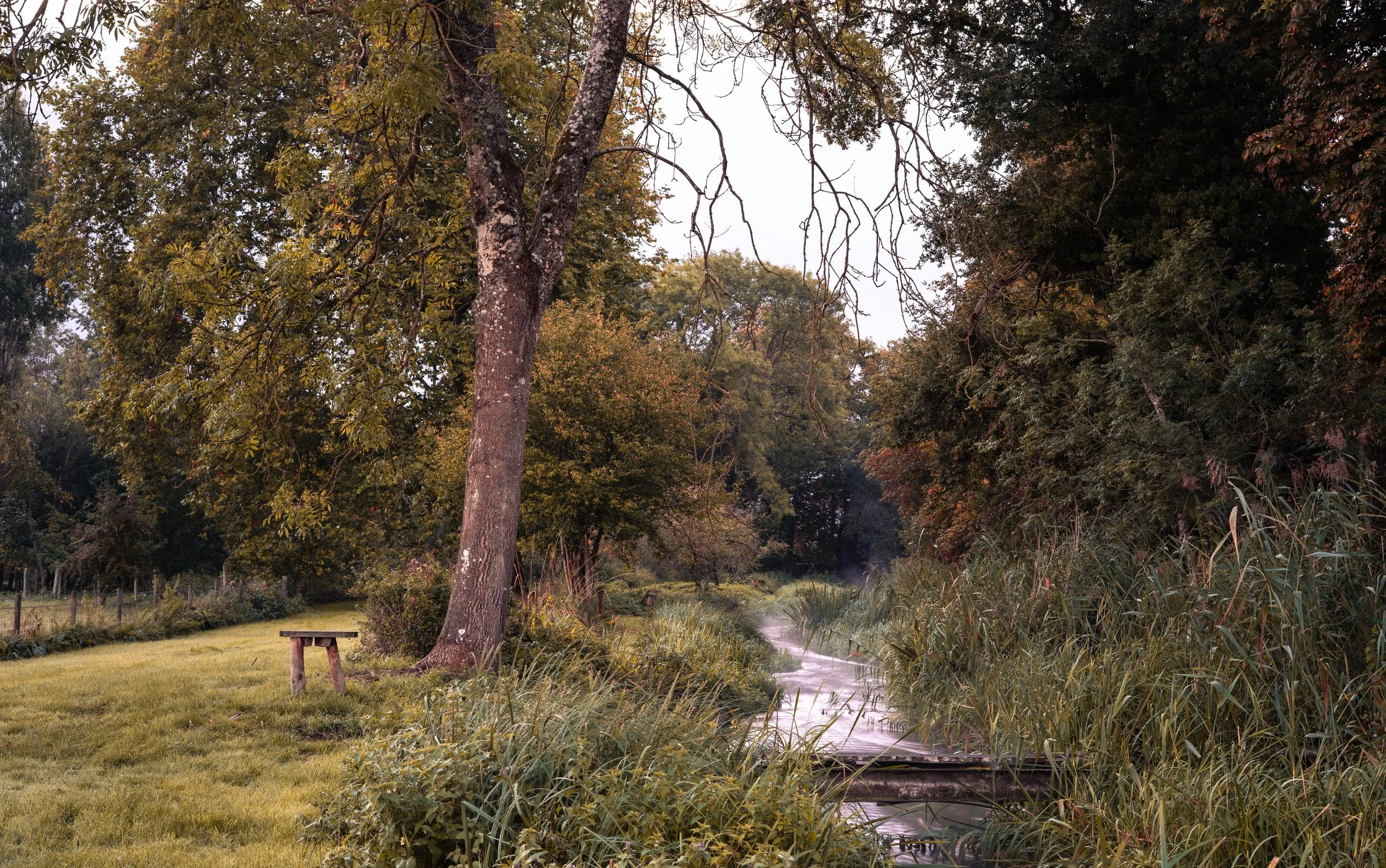 A peaceful outdoor scene featuring a grassy lawn, a small stream, and a variety of trees with leaves in autumn colors. A wooden bench is visible on the left side of the image.