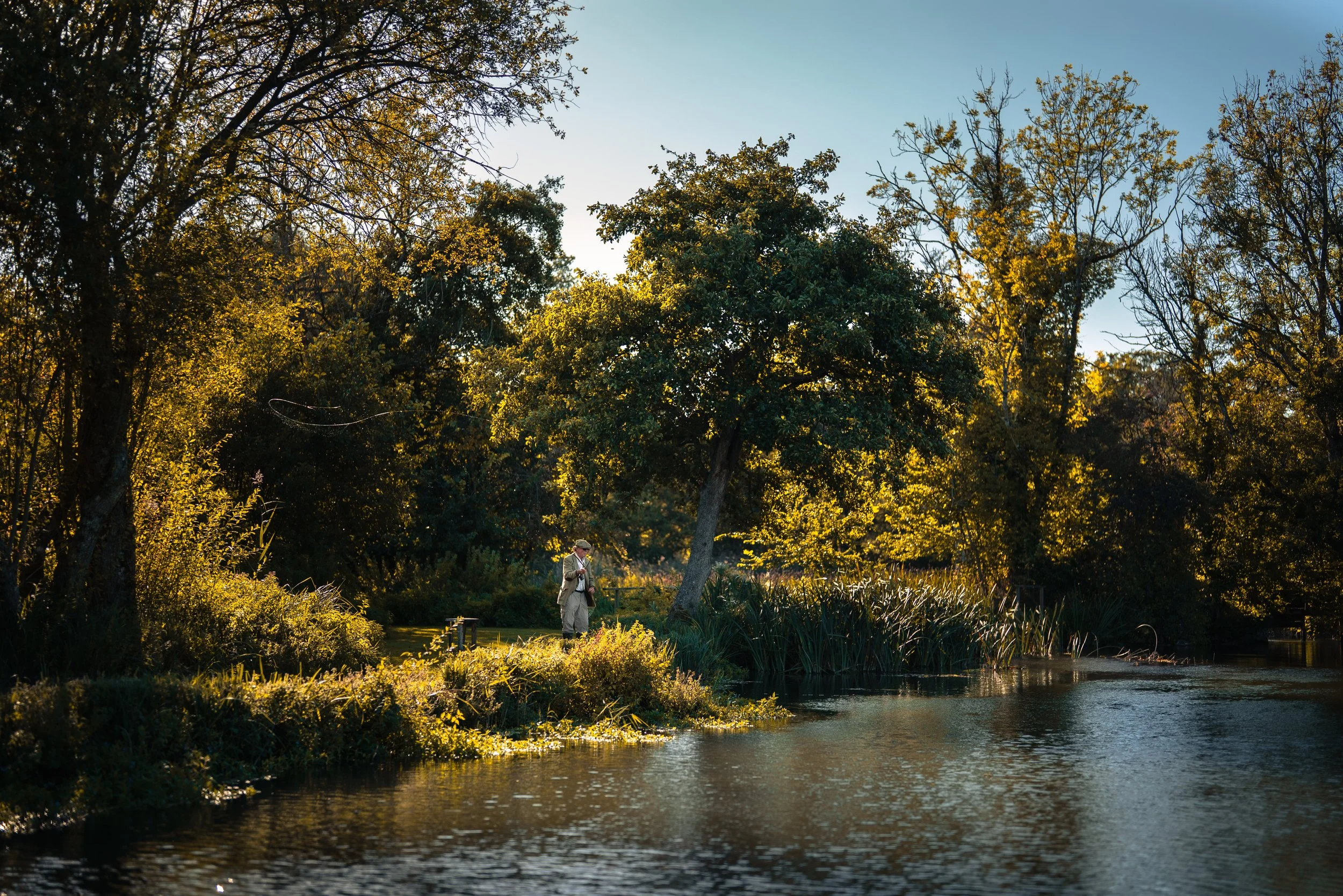 A person in a gray jacket and hat standing by a pond, surrounded by trees with green and yellow leaves, with sunlight filtering through the trees.