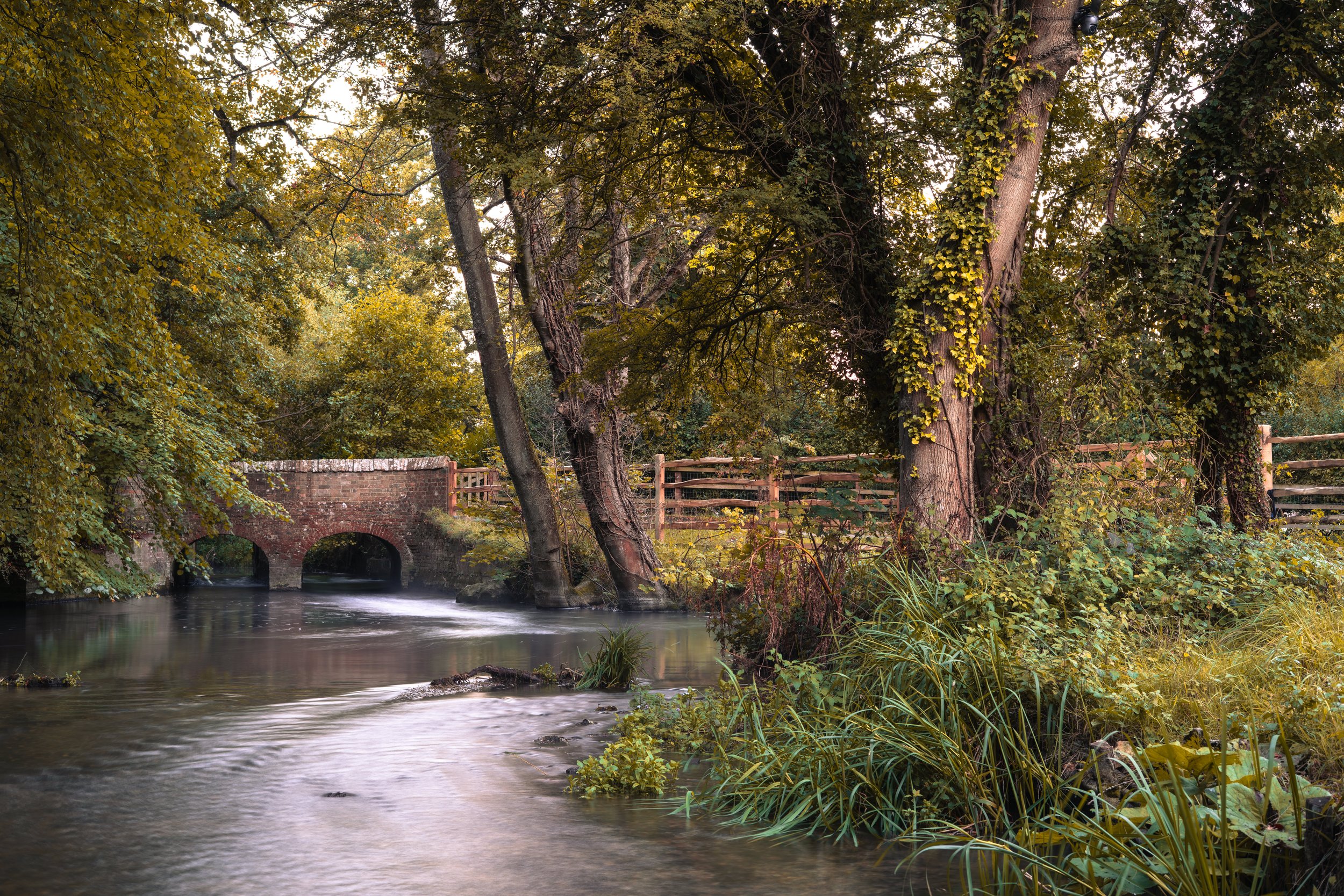 A peaceful river scene with a brick bridge in the background, surrounded by tall trees with green and yellow leaves, and lush vegetation along the riverbank.