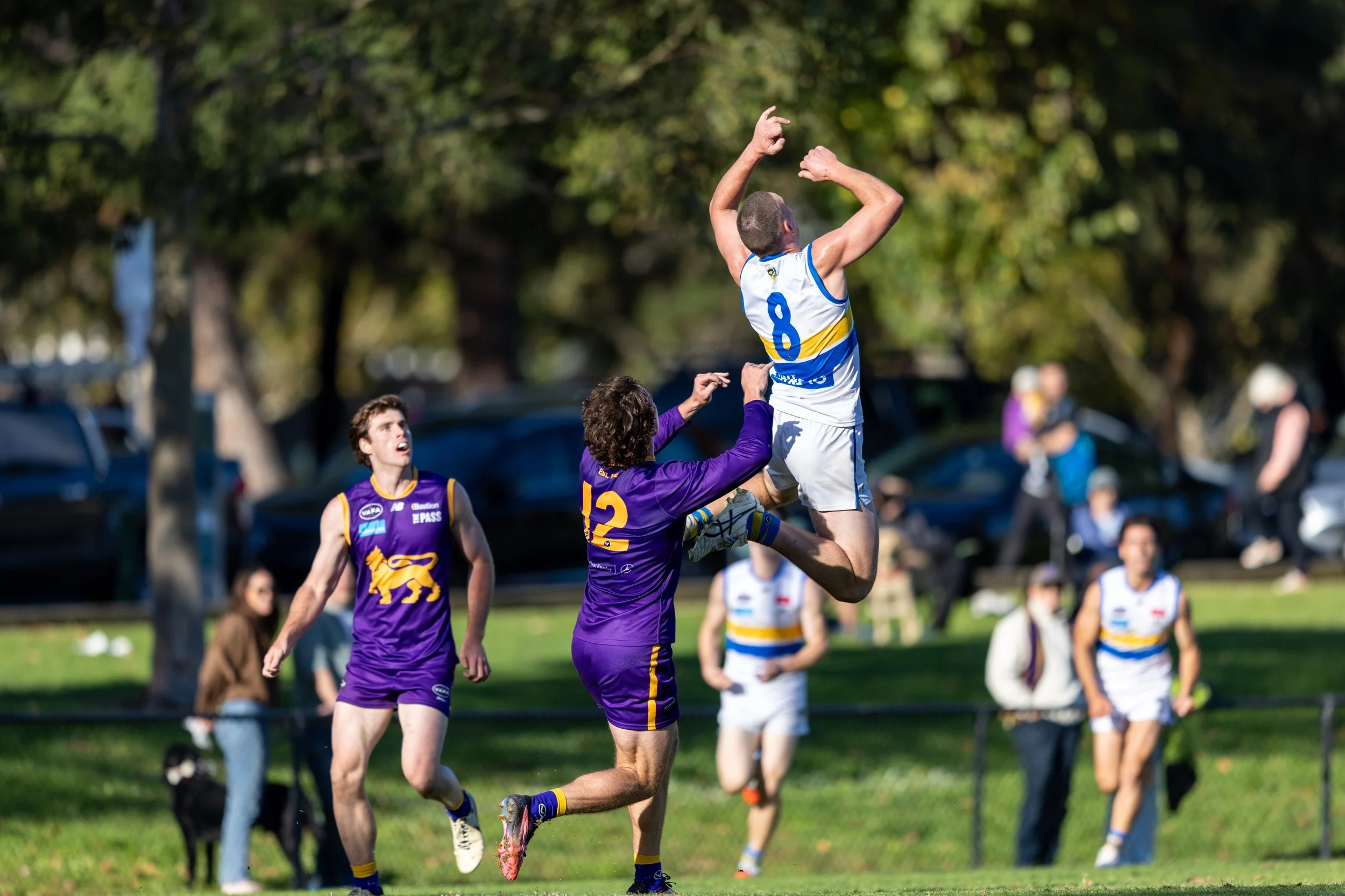 A group of athletes playing Australian rules football outdoors, with one player in a white and blue uniform jumping to catch the ball while others in purple uniforms are around him. Spectators and cars are visible in the background.