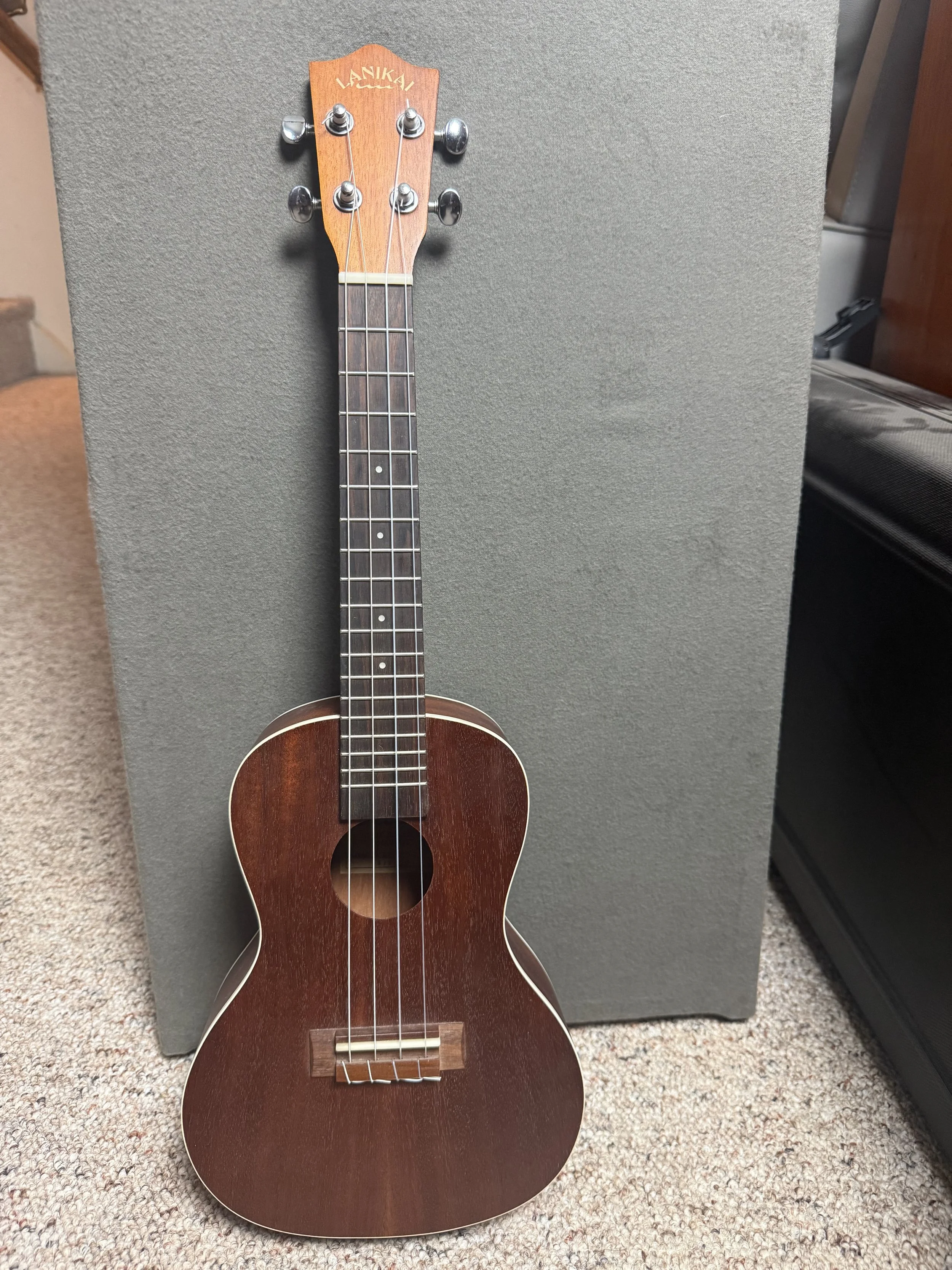 Lanikai LU-21C Concert Ukulele Pre Owned - 5ths First Setup