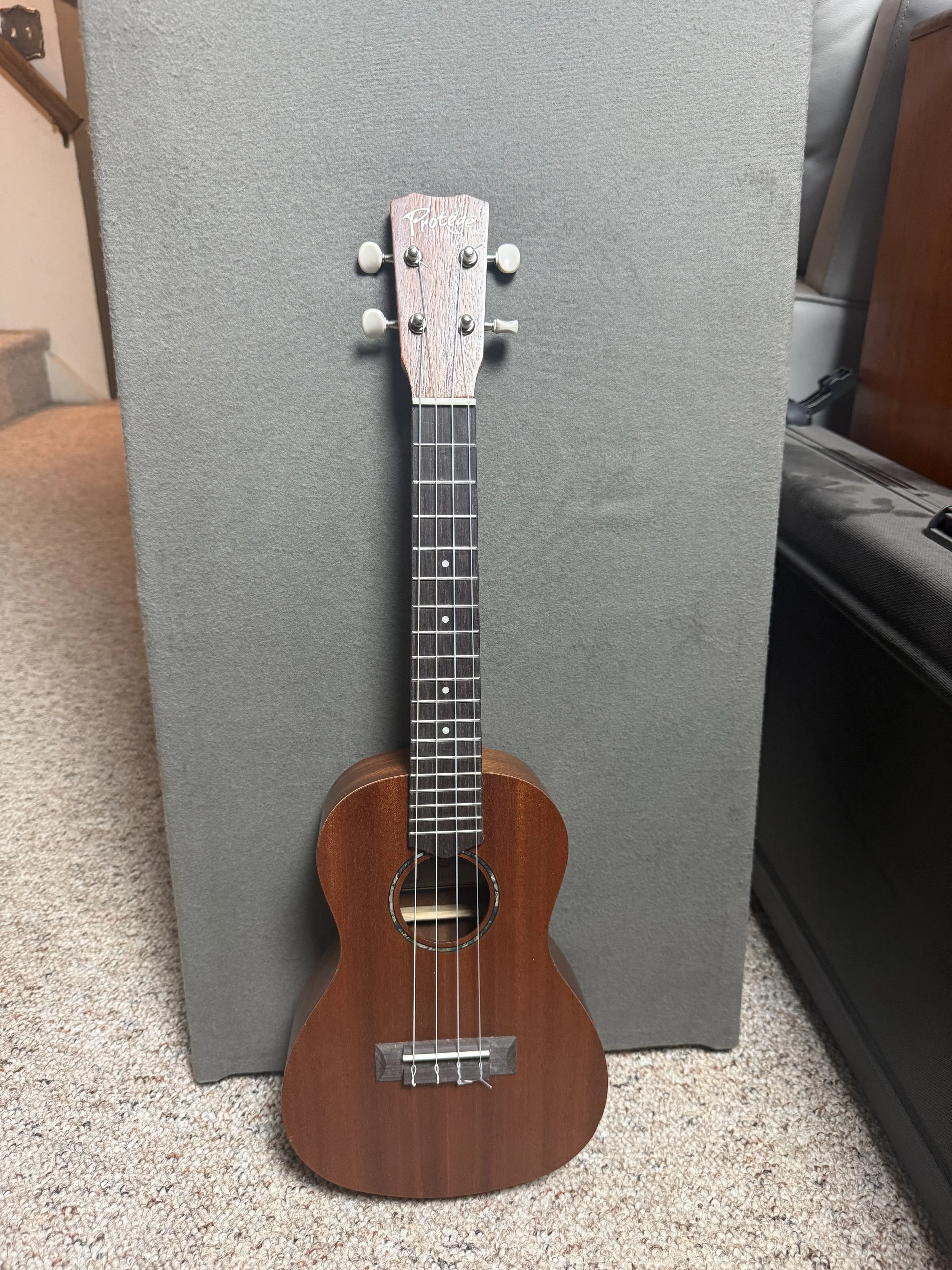 Pre-owned Cordoba Protege with 5ths First Setup
