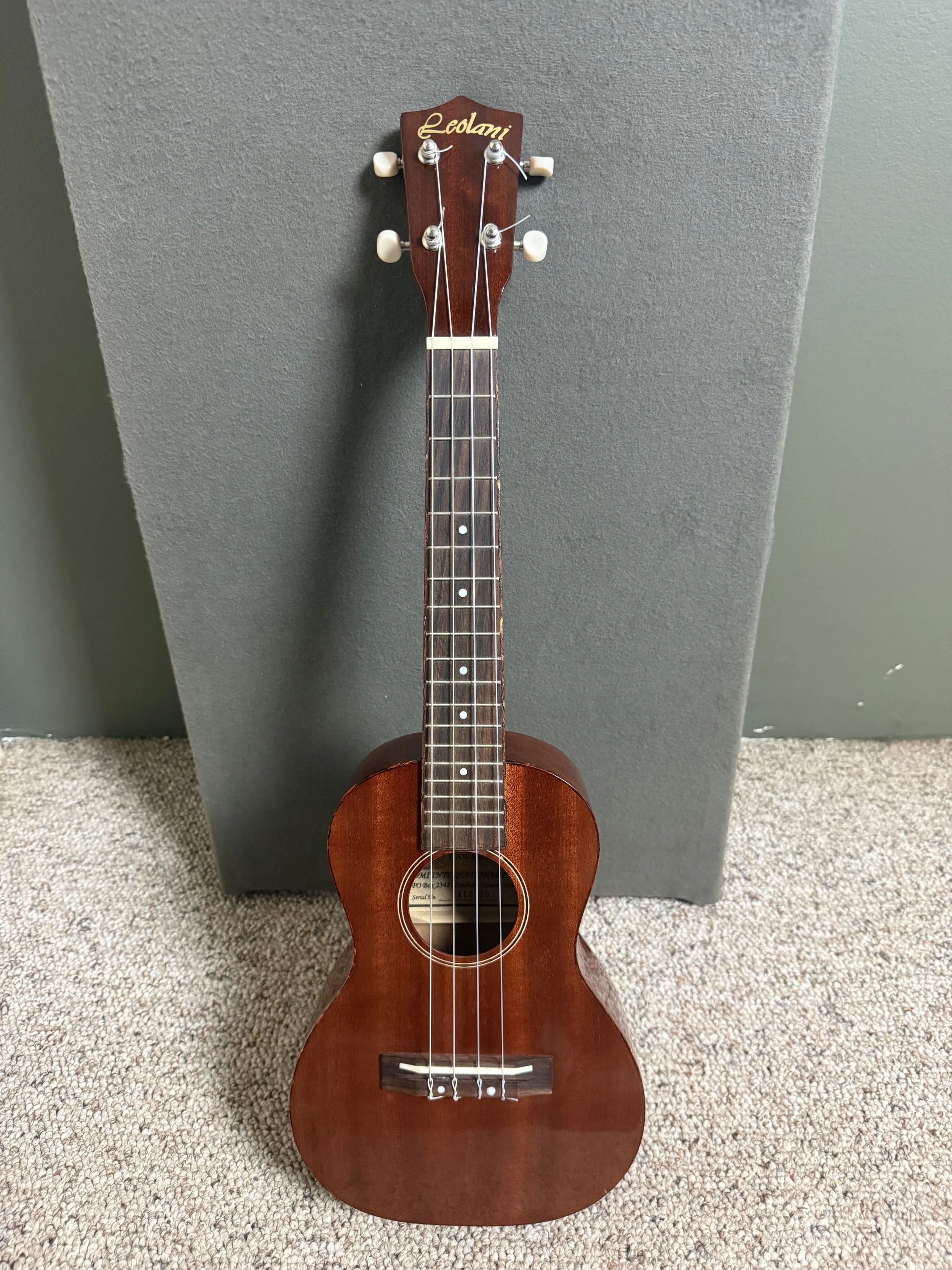 Pre-Owned Leolani Concert with 5ths First Setup