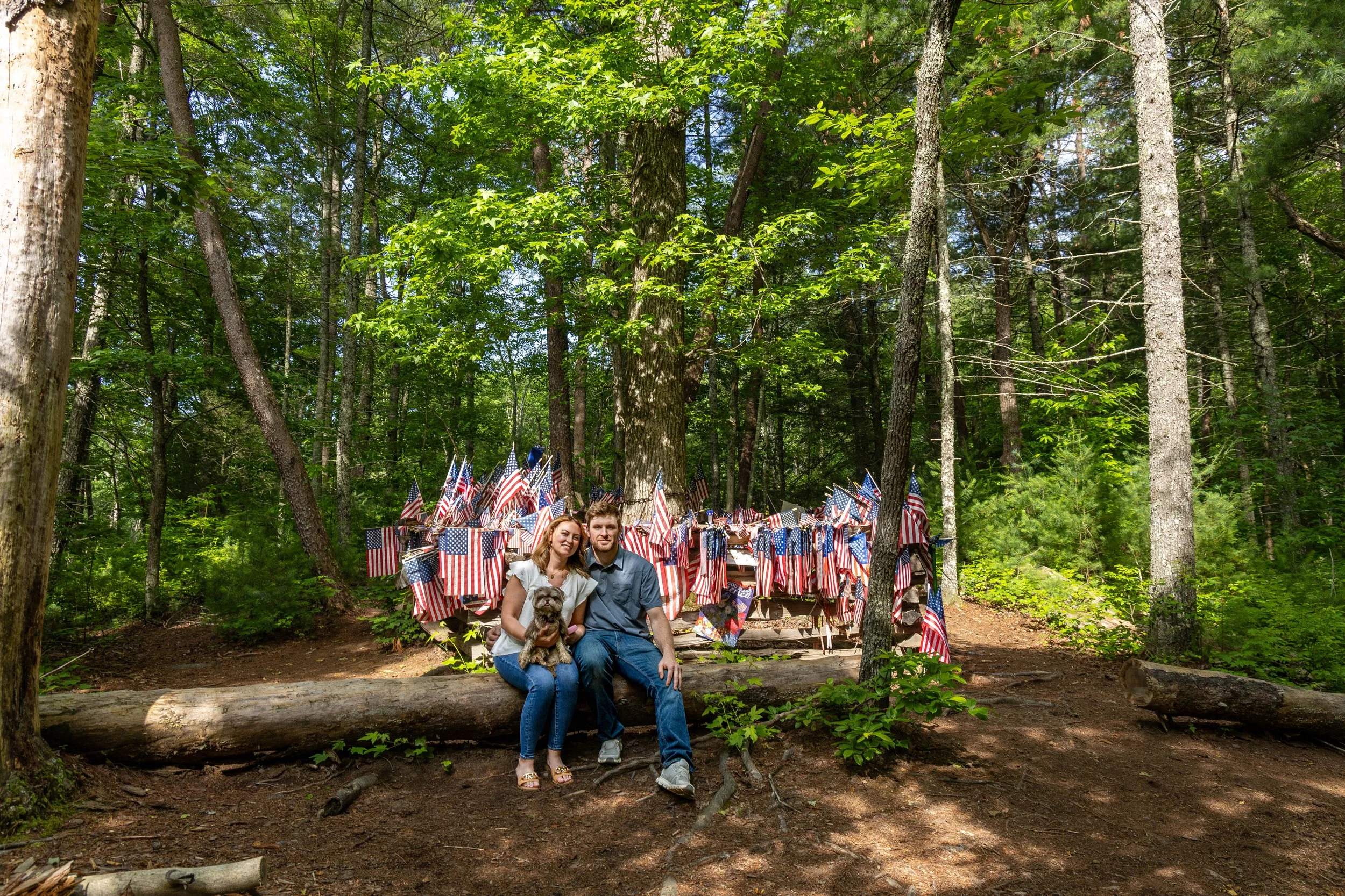 The Pearl Harbor Tree: A Quiet Piece of History Hidden in Cades Cove