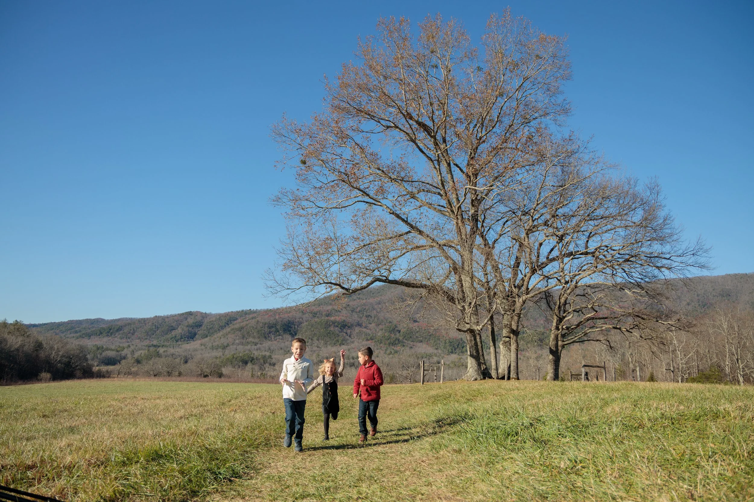 Children running and playing in Cades Cove in the Great Smoky Mountains Naiotnal Park