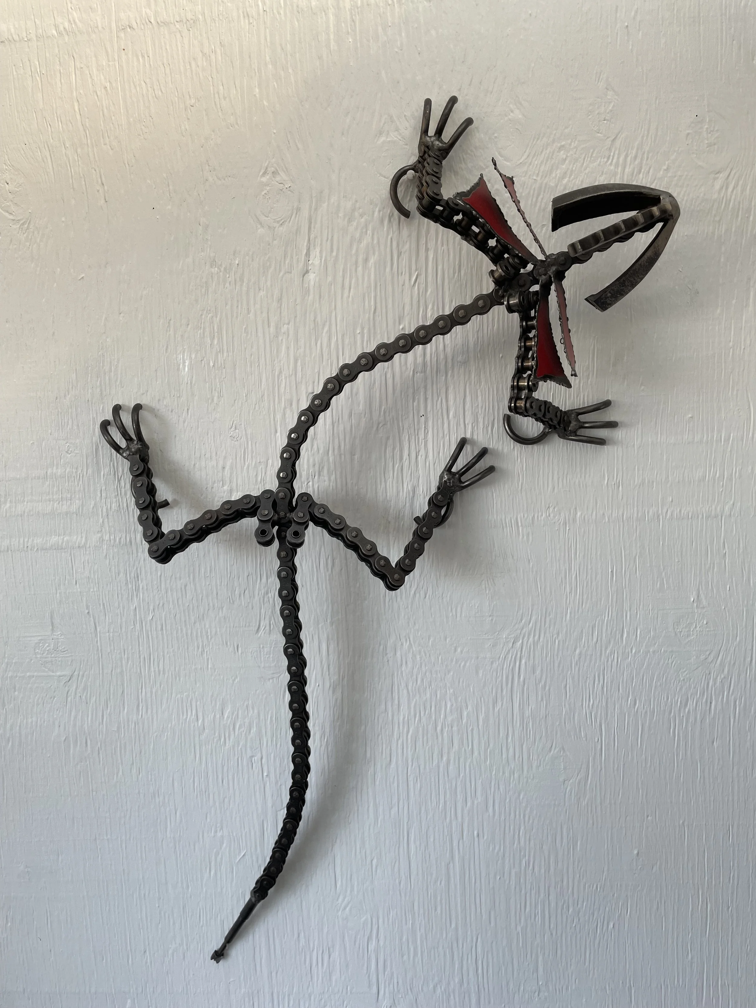 lizard