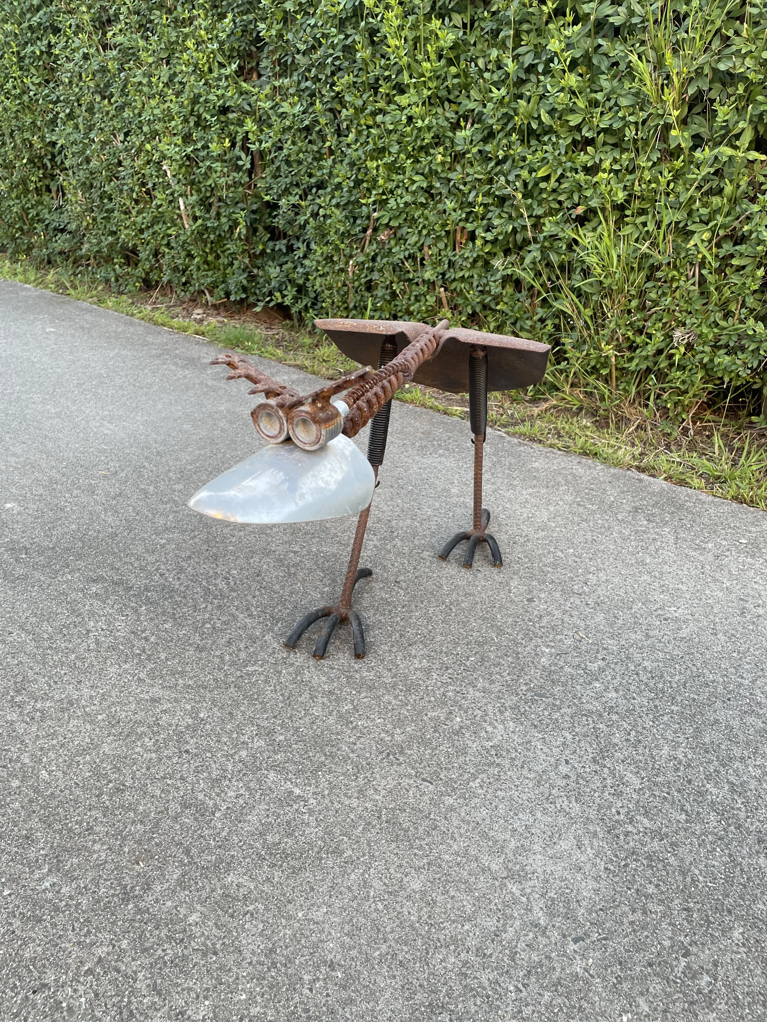Shovel bird