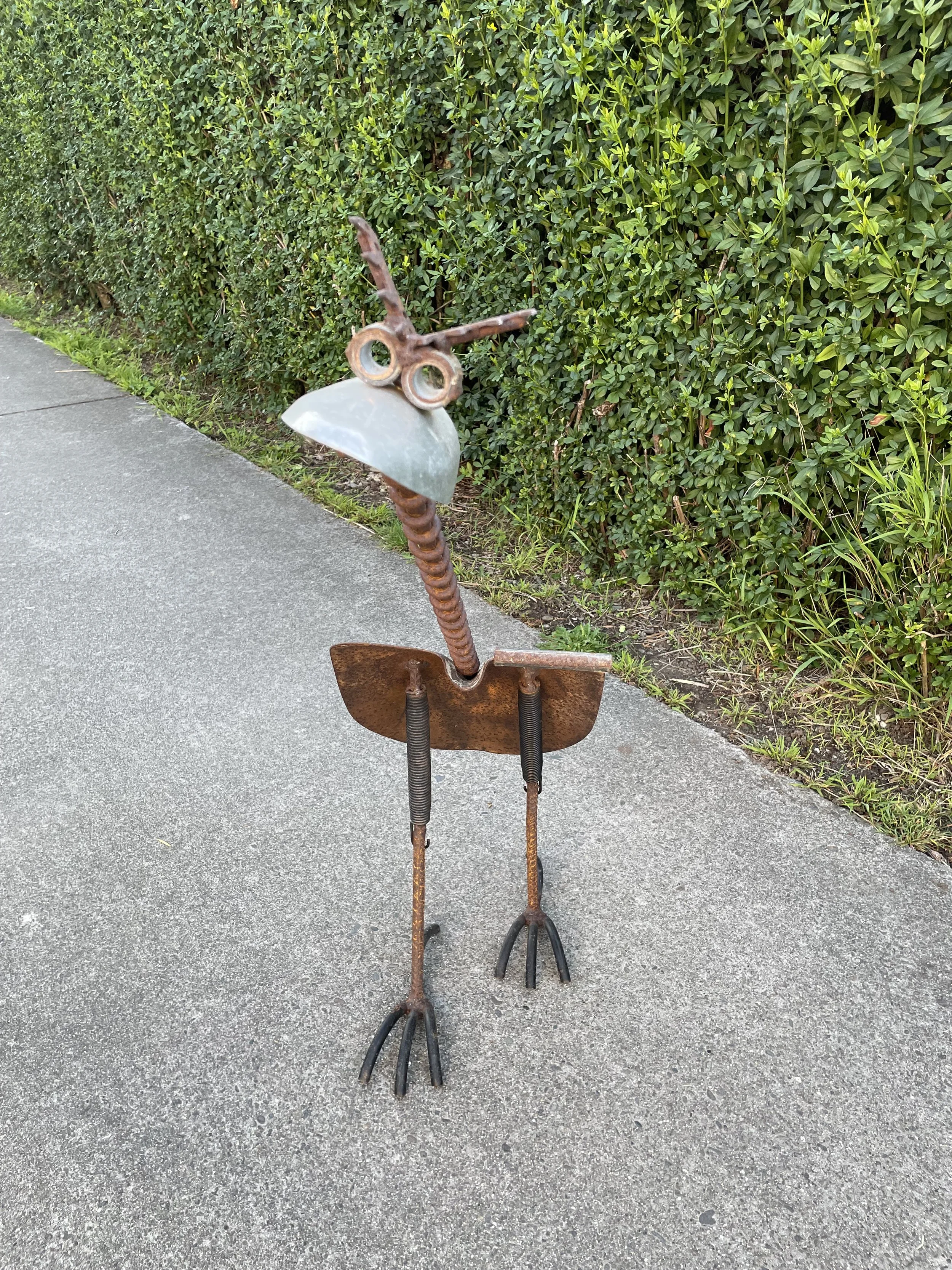 Shovel bird
