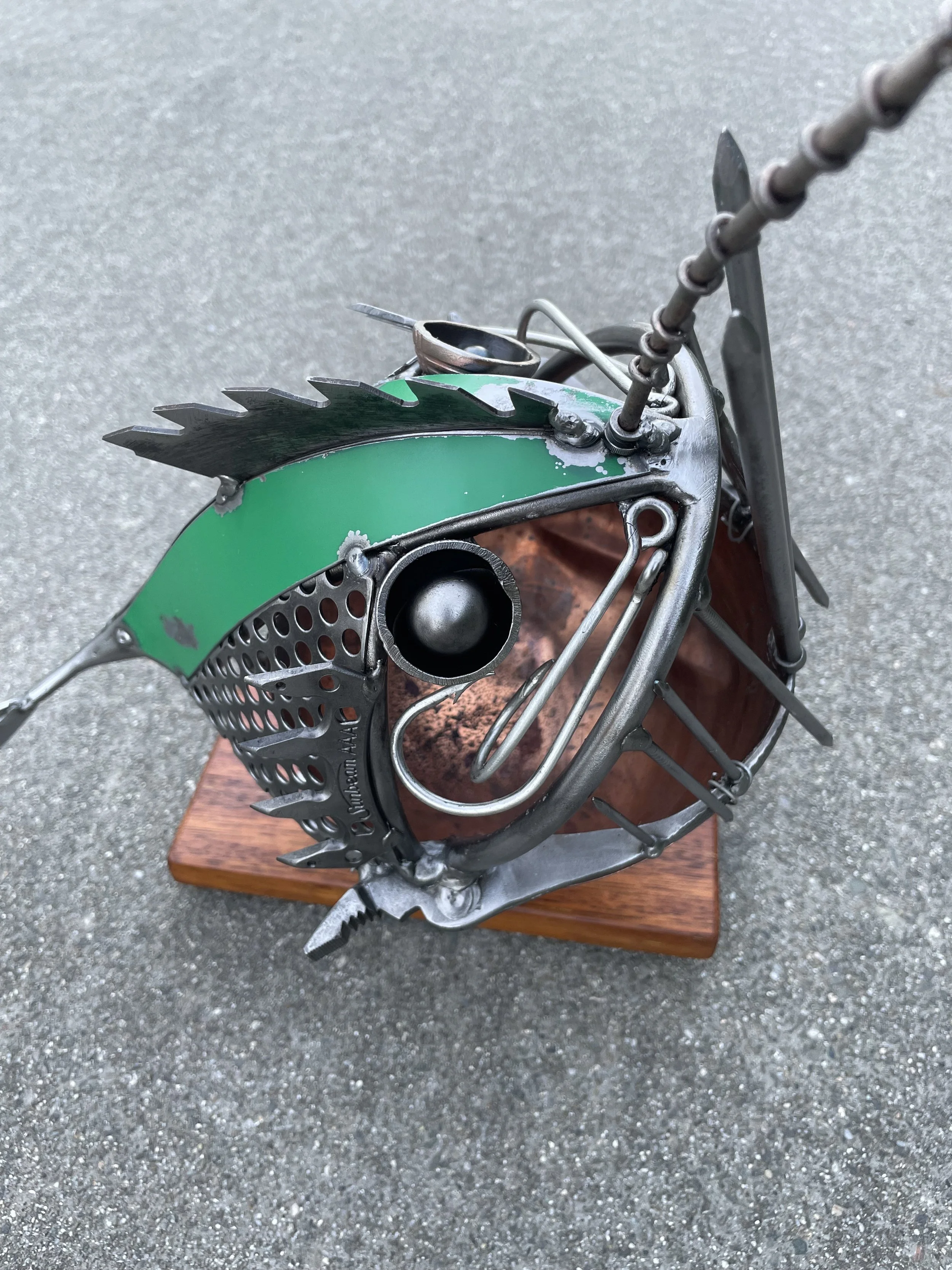 Angler fish