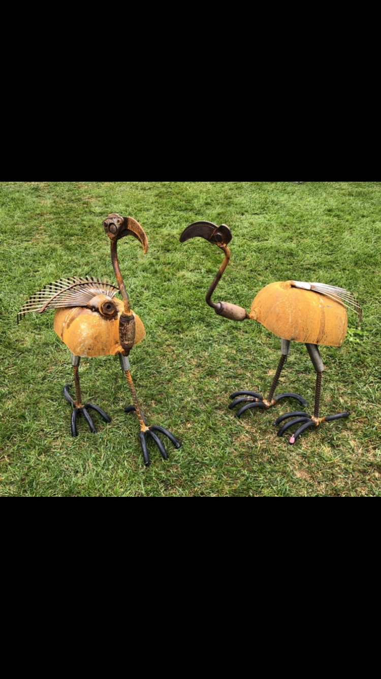 IMG_1362.PNG