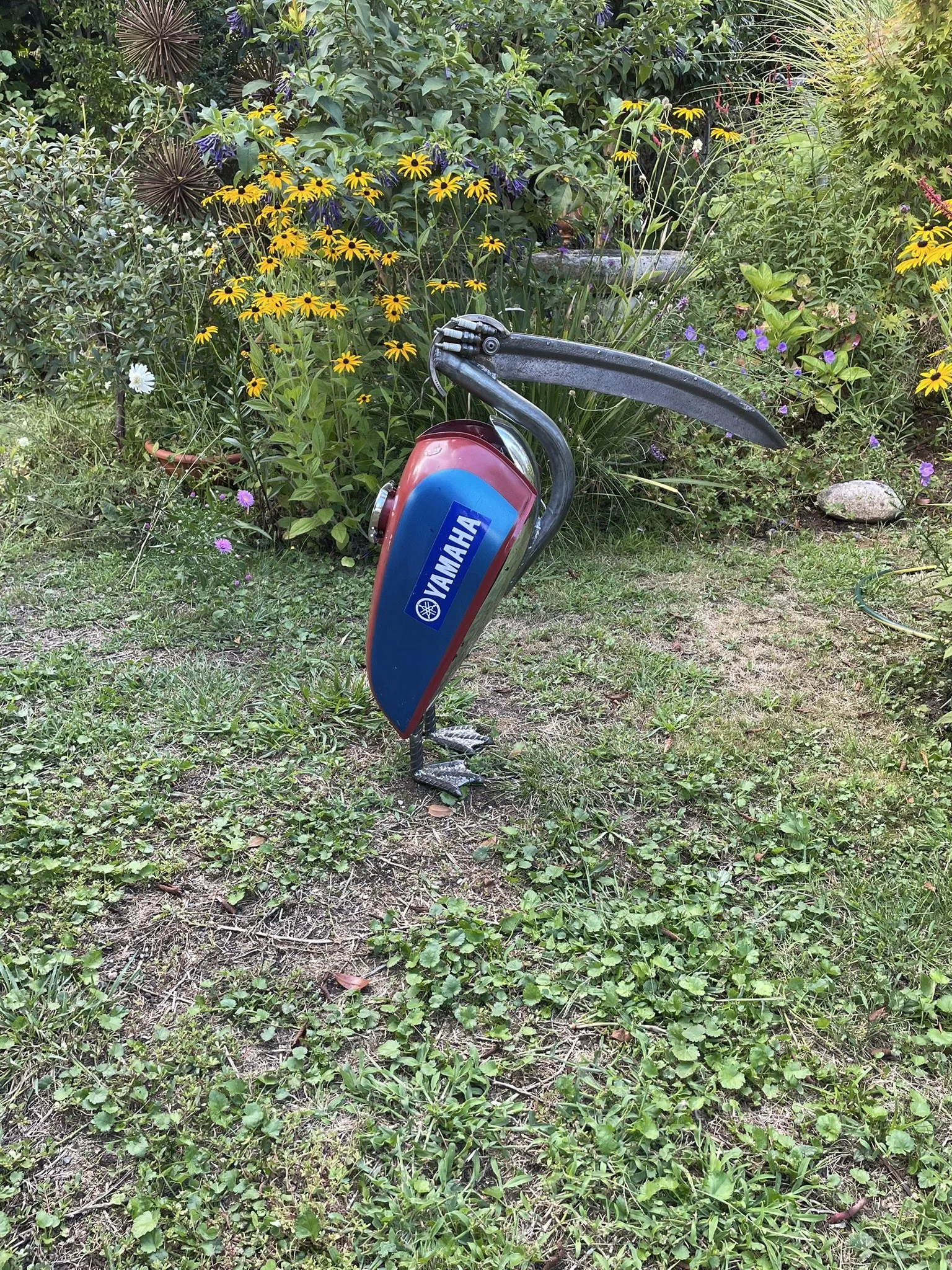 IMG_0246.JPEG