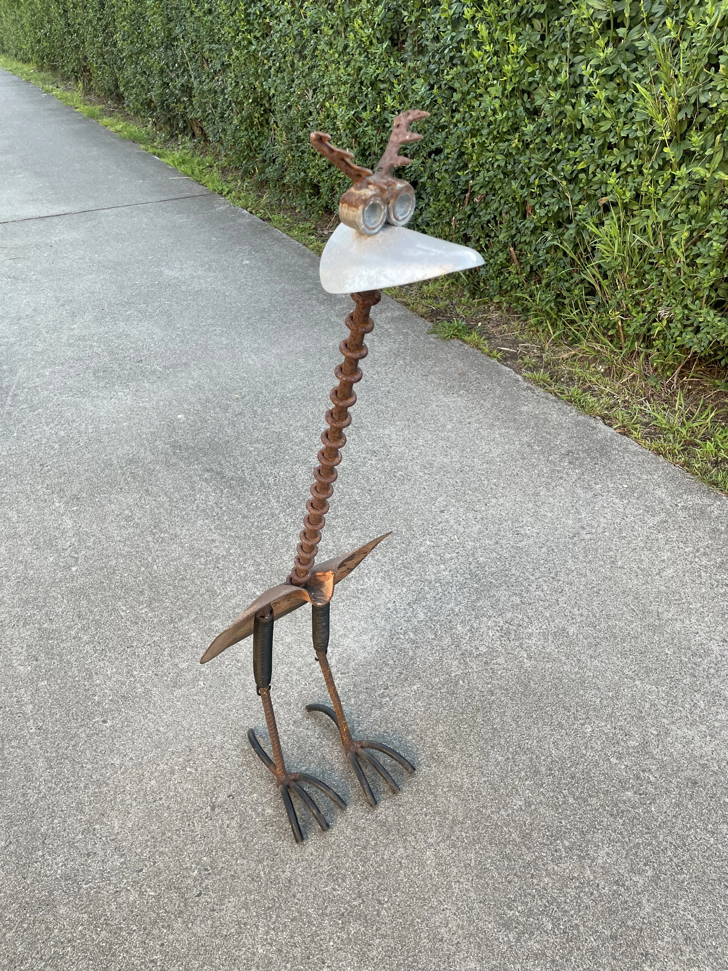 Shovel bird