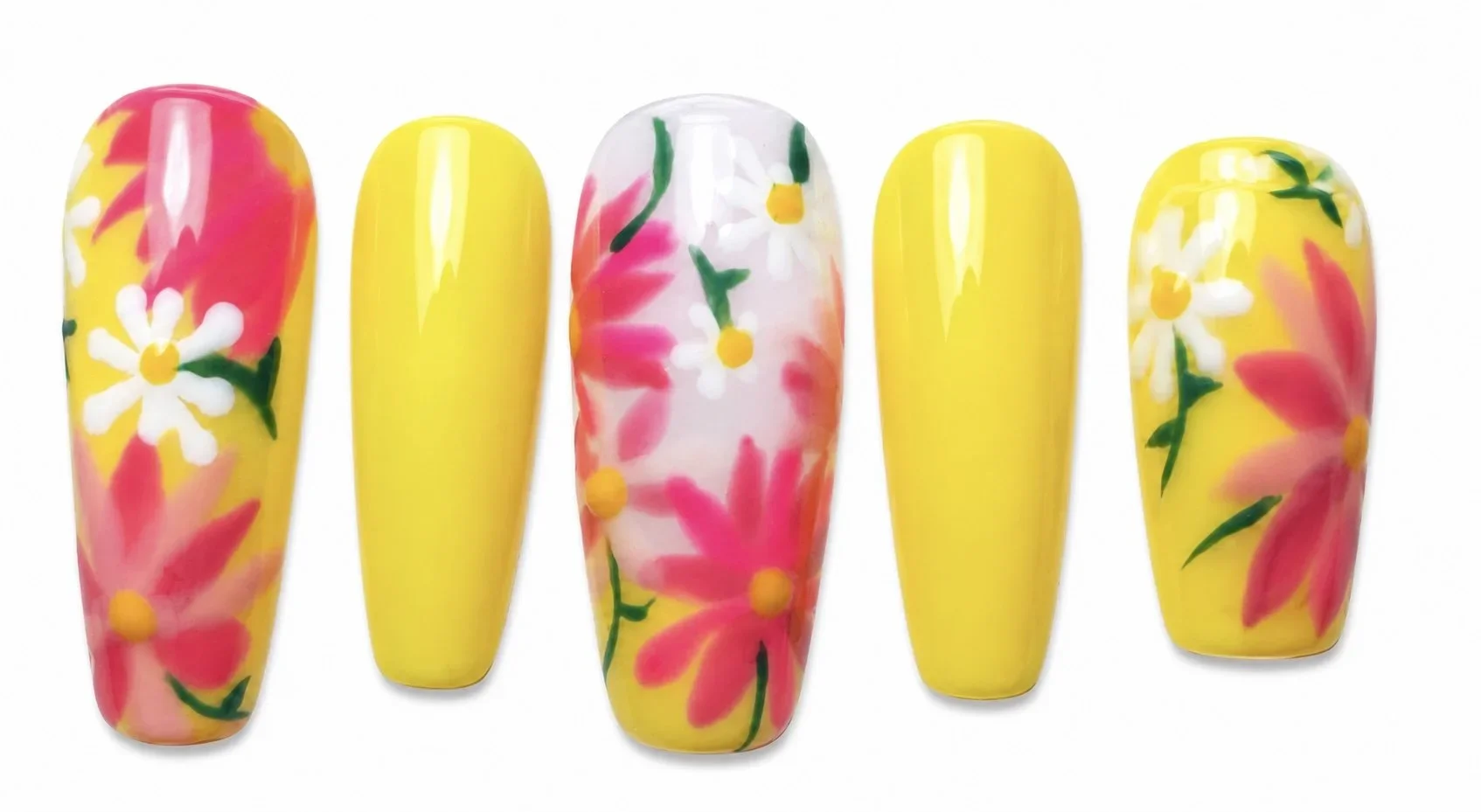 Marguerites d’été