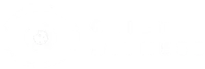 Quiet Witness