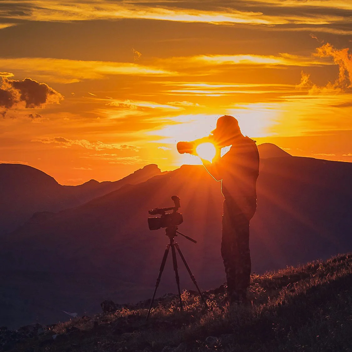 Author photographing bighorn sheep at sunset.