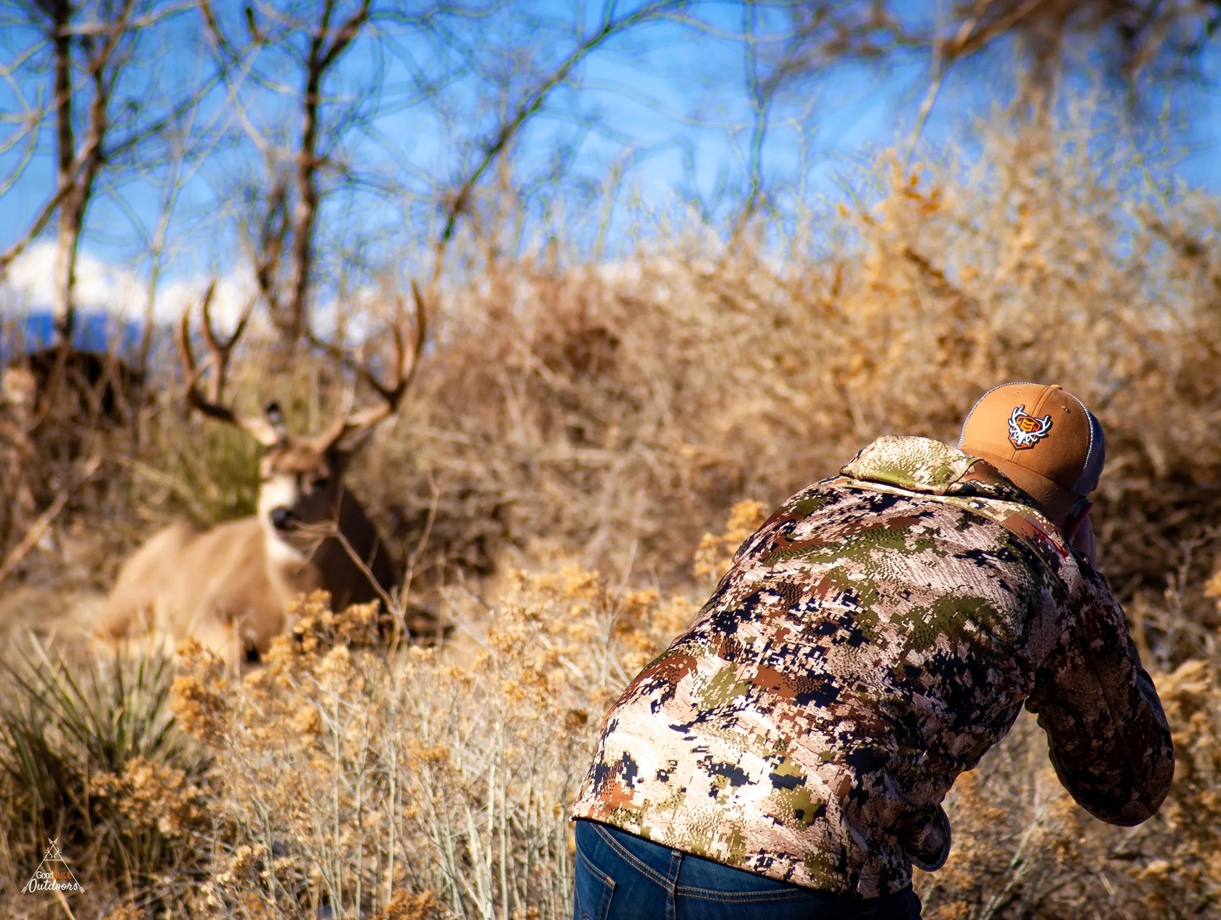 Loren photographing mule deer