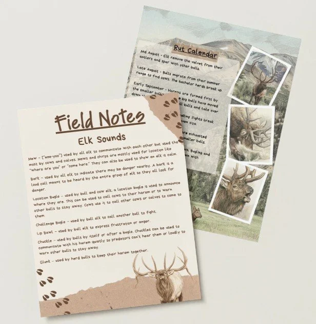 Field Notes page pages as an example of work products.