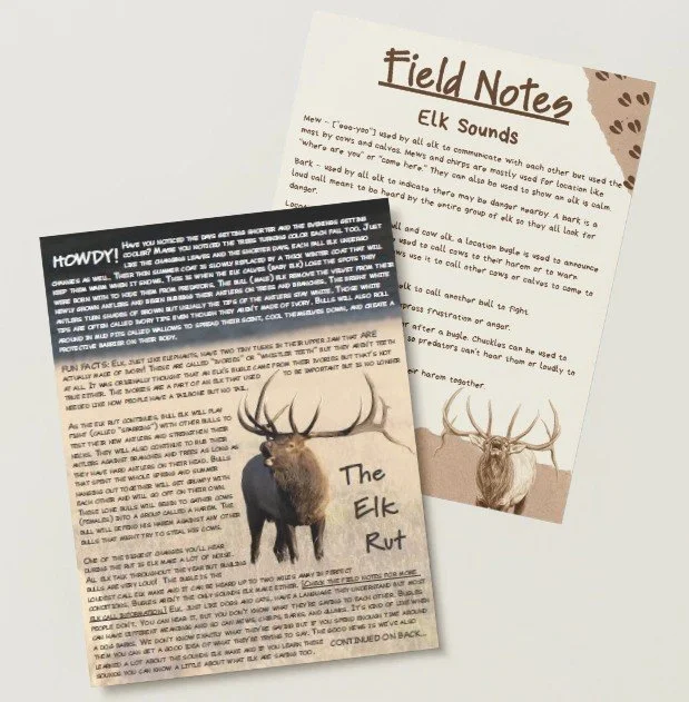Two pages of field notes and a pamphlet about elk sounds and the elk rut, with a picture of a large elk with antlers.