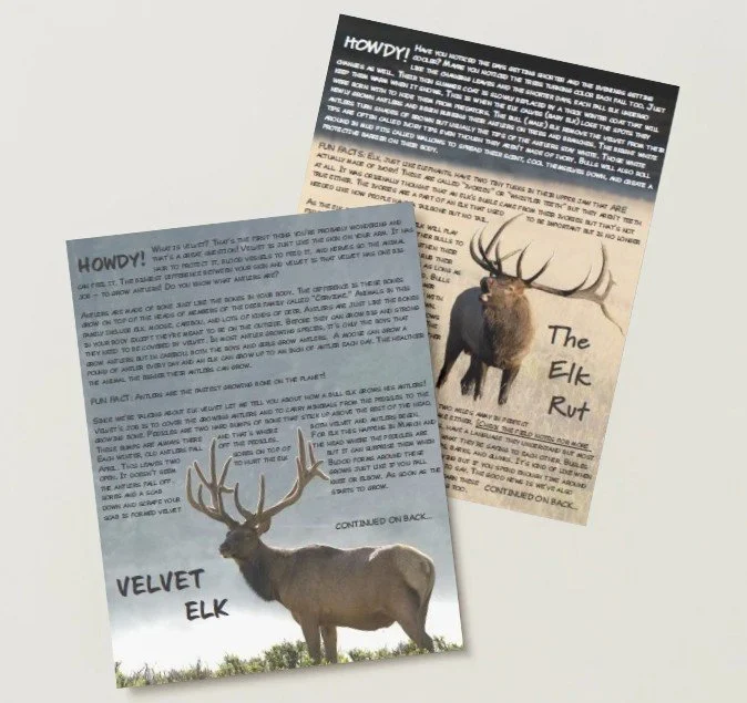 Two informational letters about elk.
