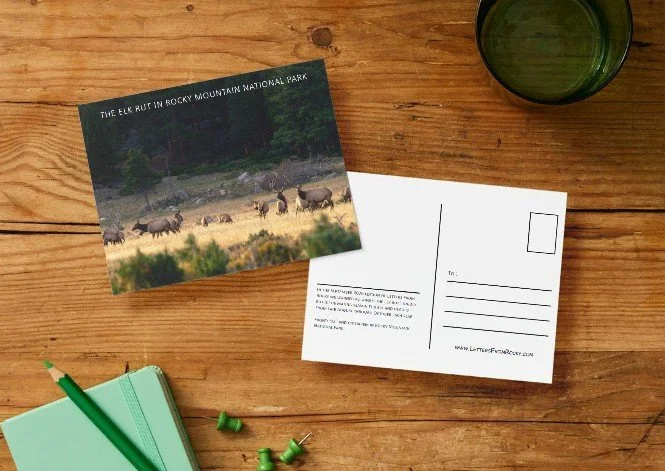 A postcard with a photo of elk in Rocky Mountain National Park, a blank white postcard, a green notebook with a green pen, green push pins, and a green glass on a wooden table.