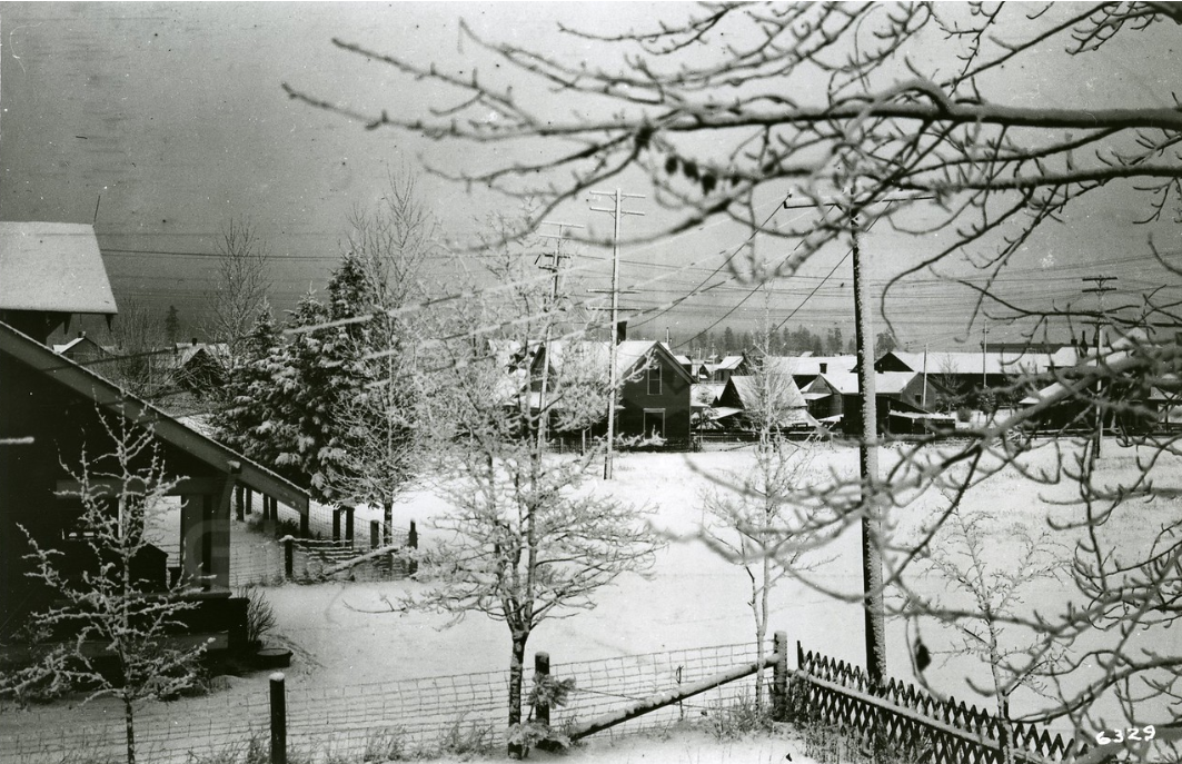Snow-covered residential neighborhood with houses, trees, power lines, and a fence, under overcast sky.