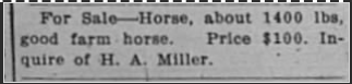 Advertisement for a horse for sale, about 1400 pounds, good farm horse, priced at $100, inquiry to H. A. Miller.