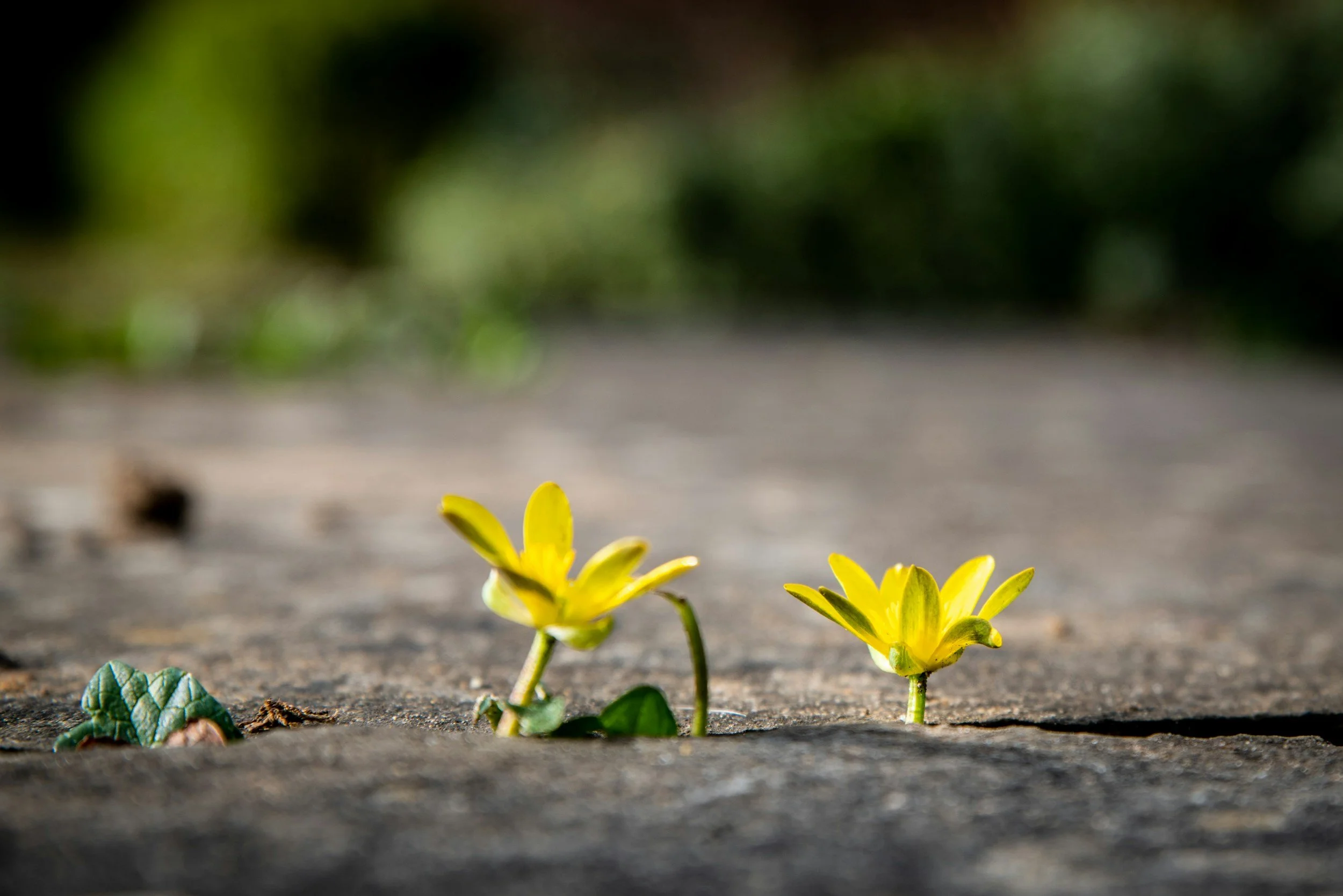 How to Feel Safe Again After Life Has Been Heavy
