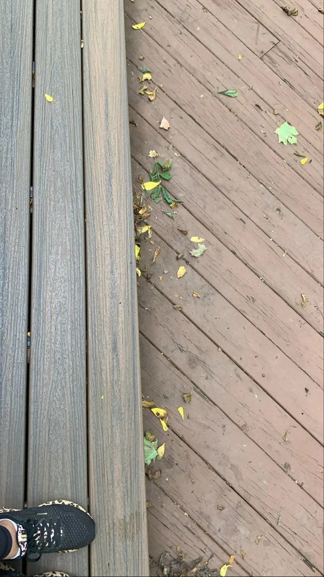 Part of a wooden deck with leaves and small plants, and a person's foot wearing a black and leopard print sneaker.