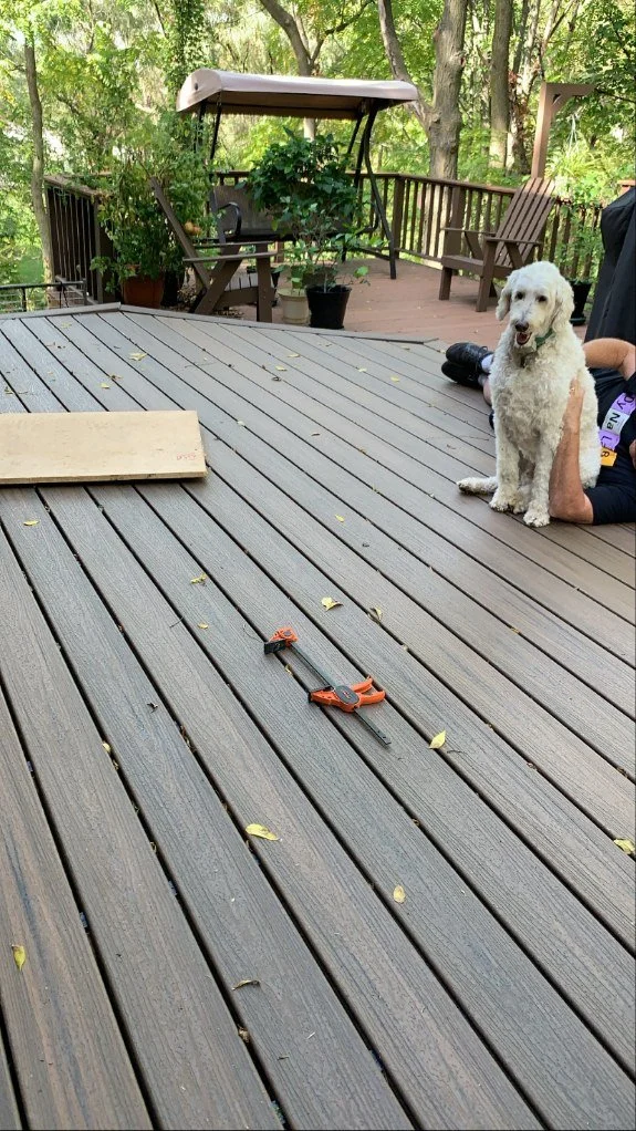 A backyard deck with a dog sitting next to a person, a swing, outdoor furniture, and some gardening plants. There are fall leaves and a pair of pruning shears on the deck.