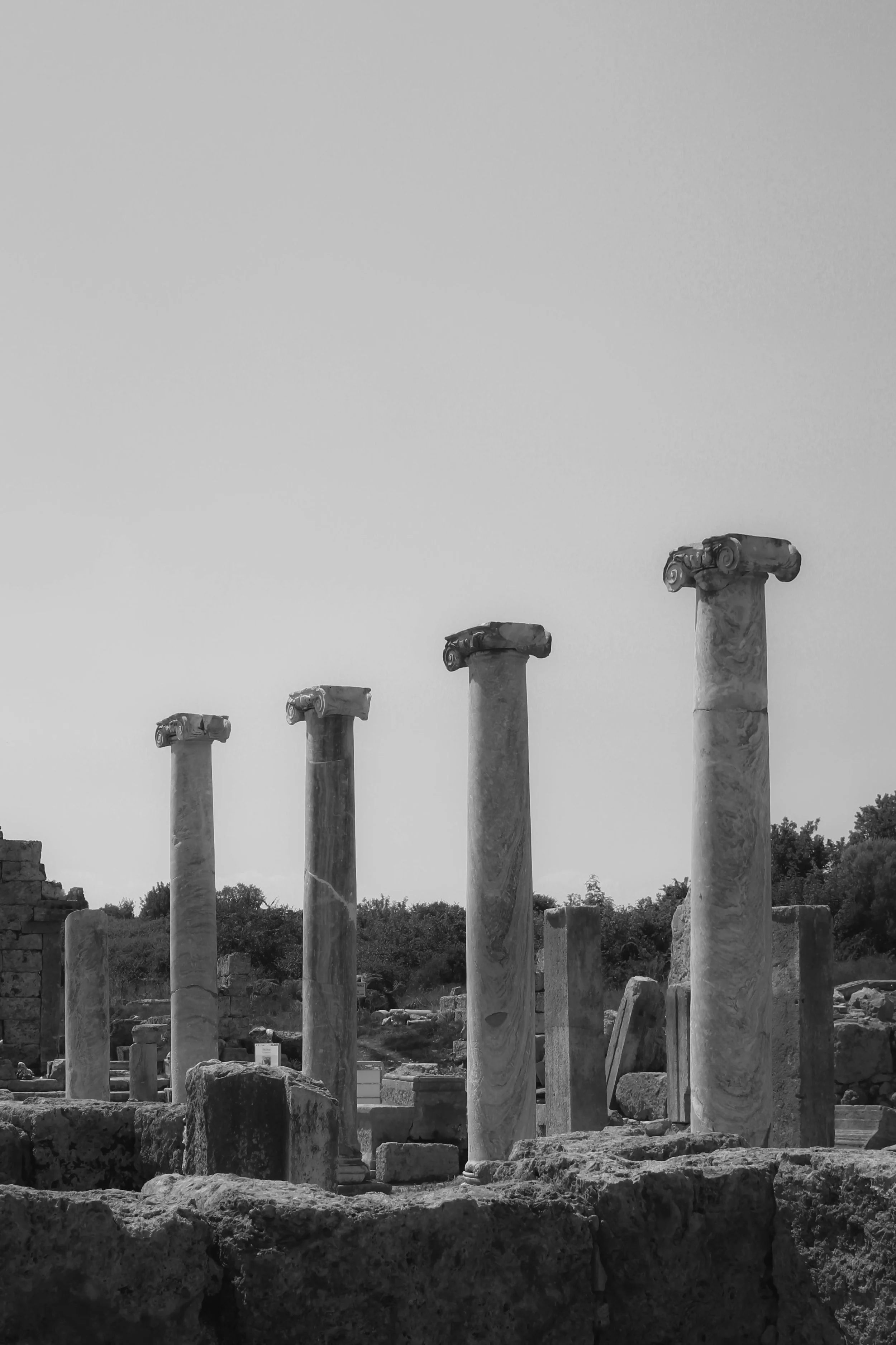 Ancient ruins with tall marble columns, some with decorative capitals, set against a backdrop of trees and a cloudy sky.