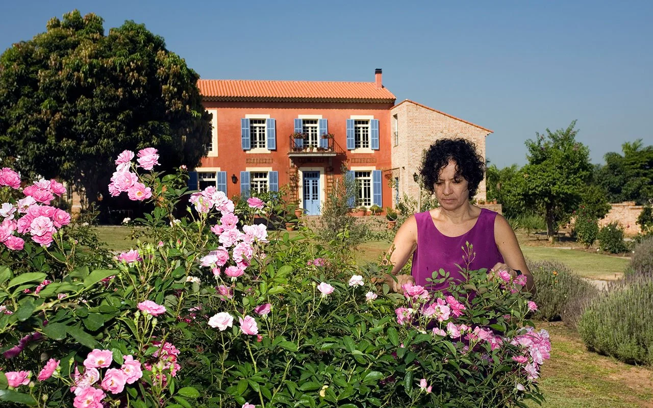 Mulher com cabelo cacheado, vestindo blusa roxa, cuidando de rosas rosas em um jardim em frente a uma casa de paredes cor de pêssego e janelas com persianas azuis.